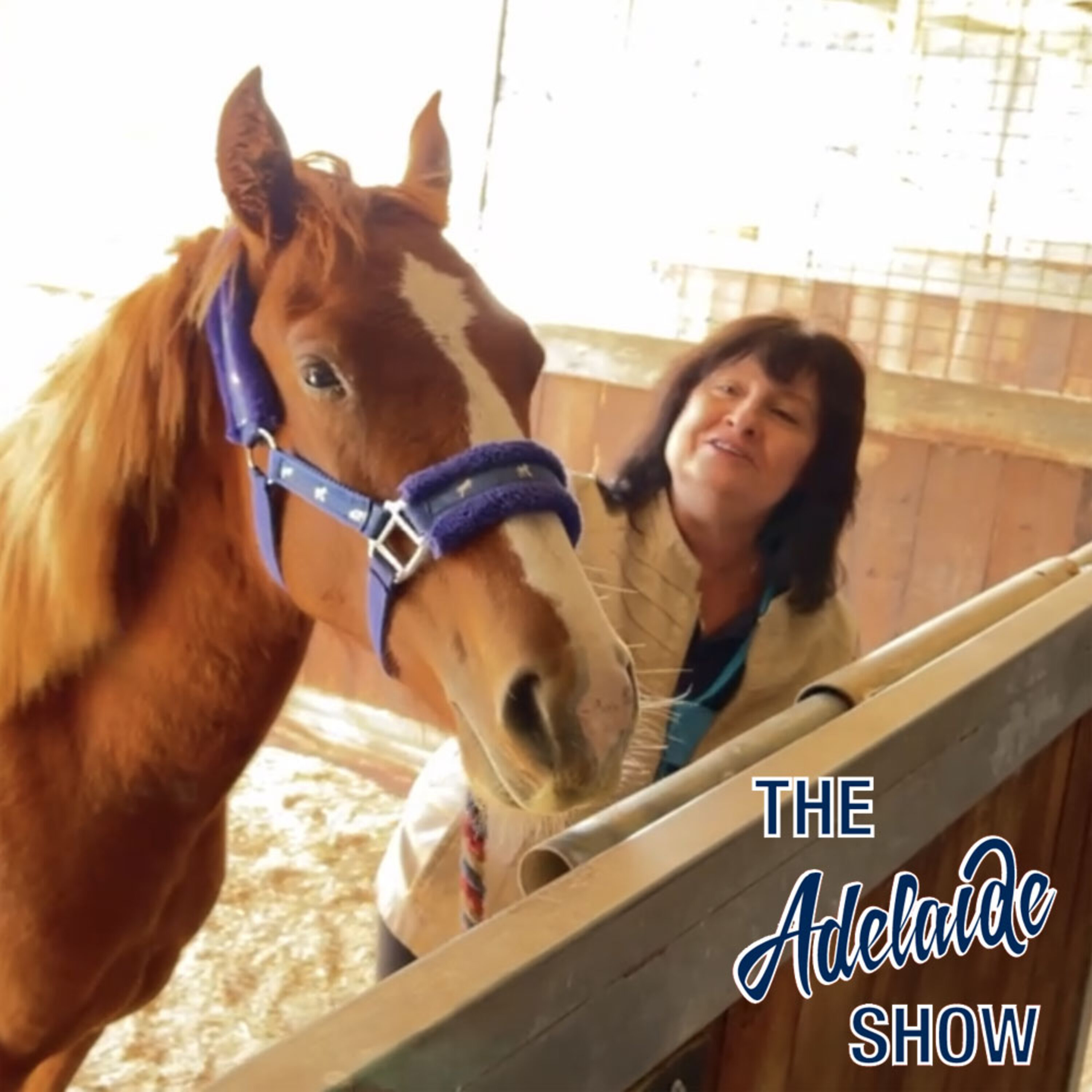 360 - Horse Riding And Horse Loving Around Adelaide