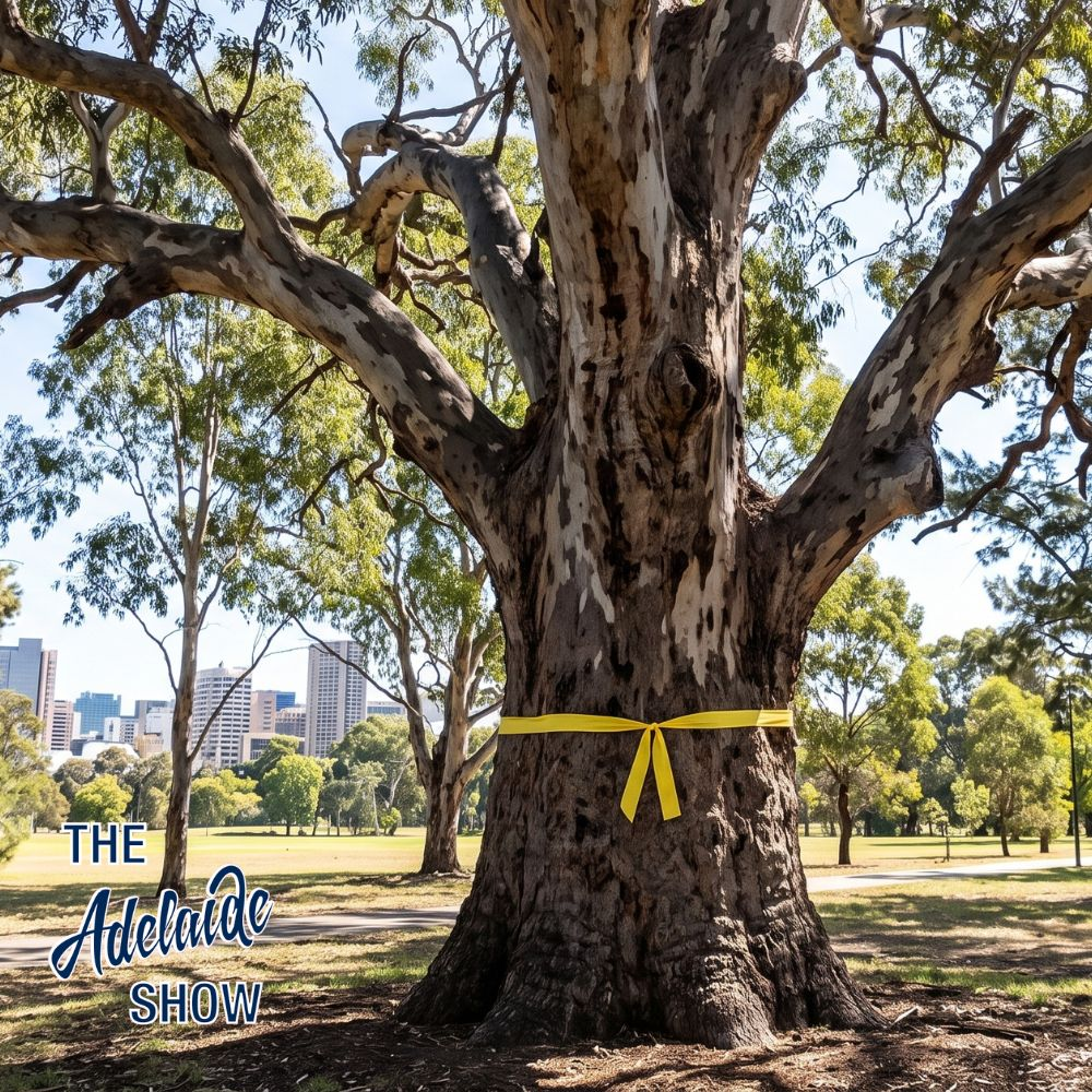 438 - Is Peter Malinauskas A Liberal Party Asset?