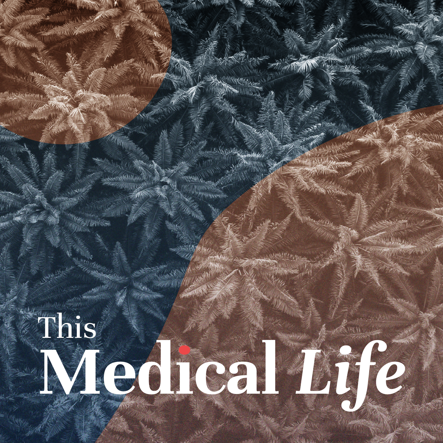 Episode 18: Medicinal Cannabis | Marijuana Melees