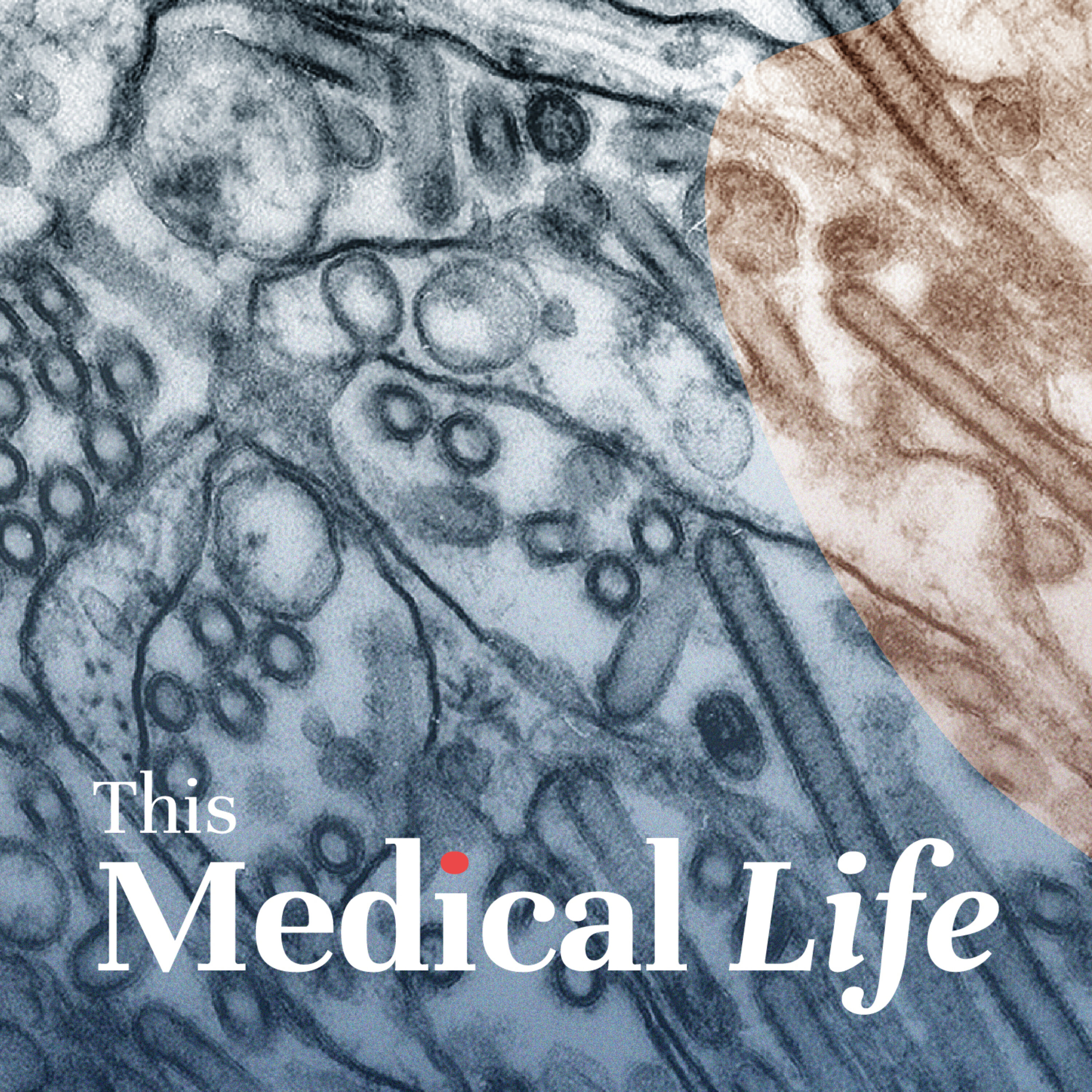 This Medical Life