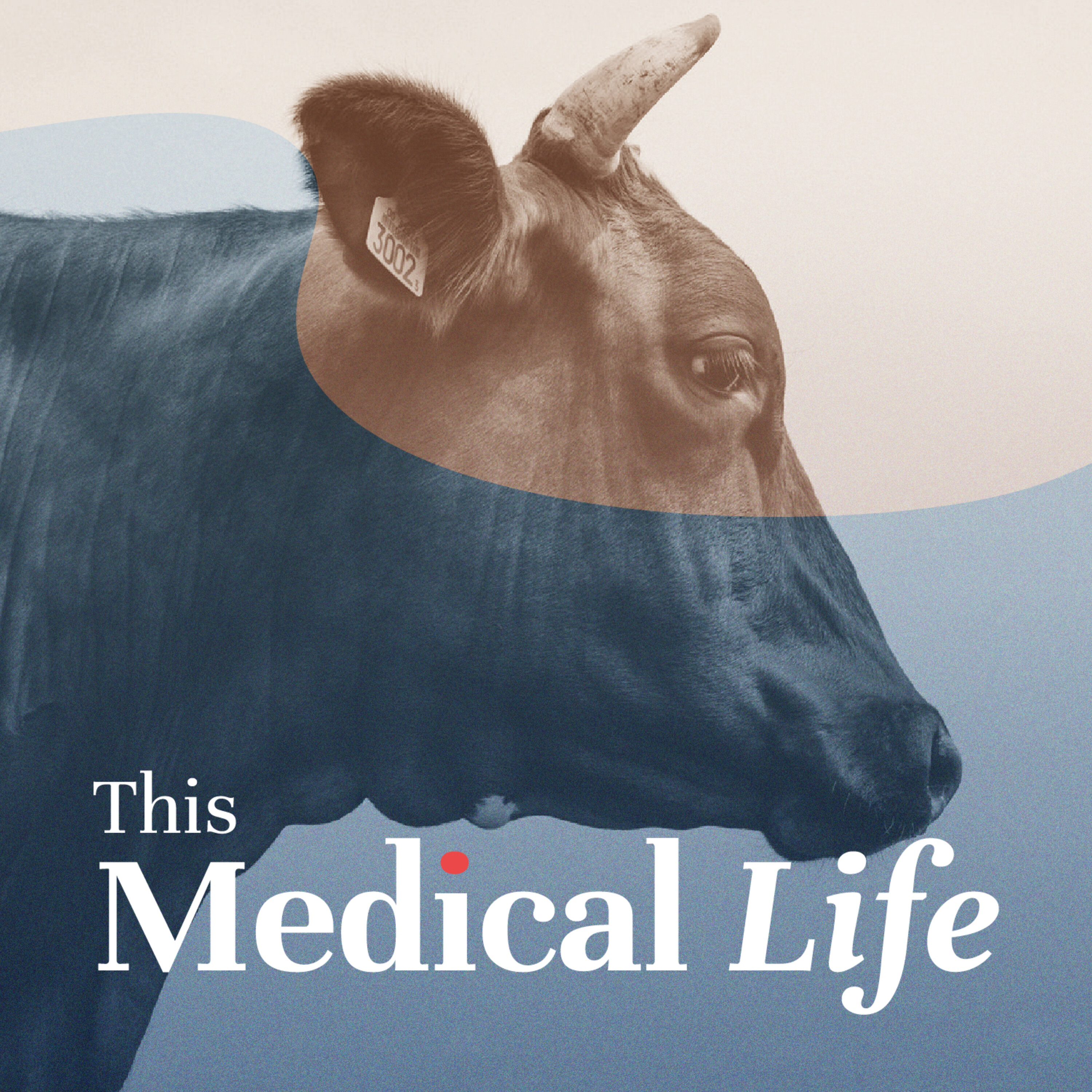 Episode 14: Creutzfeldt-Jakob disease (CJD), Mad cow & Prion disease | The Bovine Blender