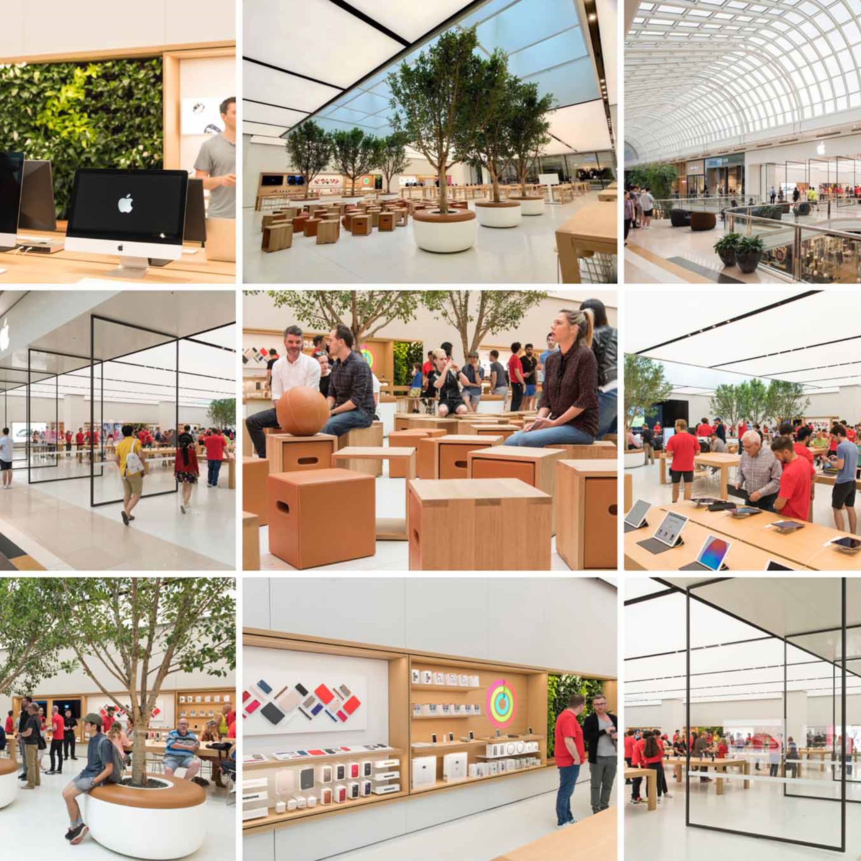 HomePod Plan, Apple Focus Down Under, Ad Xplosion episode artwork