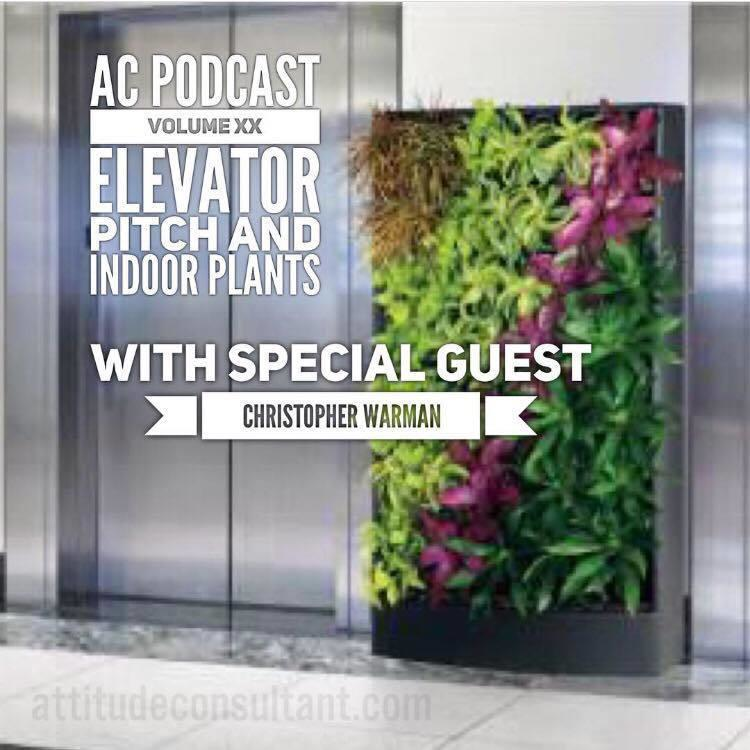 Elevator Pitch and Indoor Plants