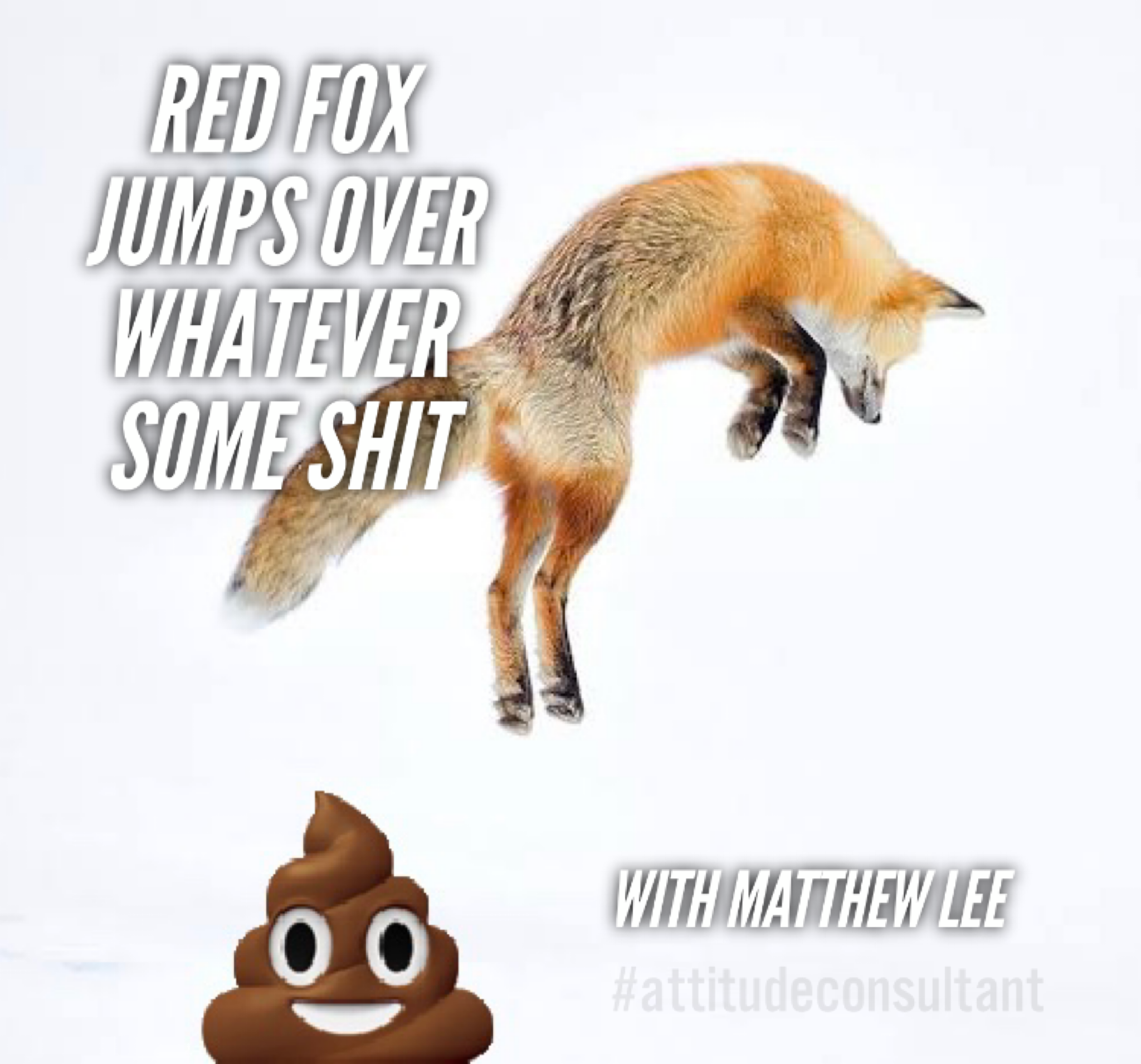 Red Fox Jumps Over Whatever Some Shit