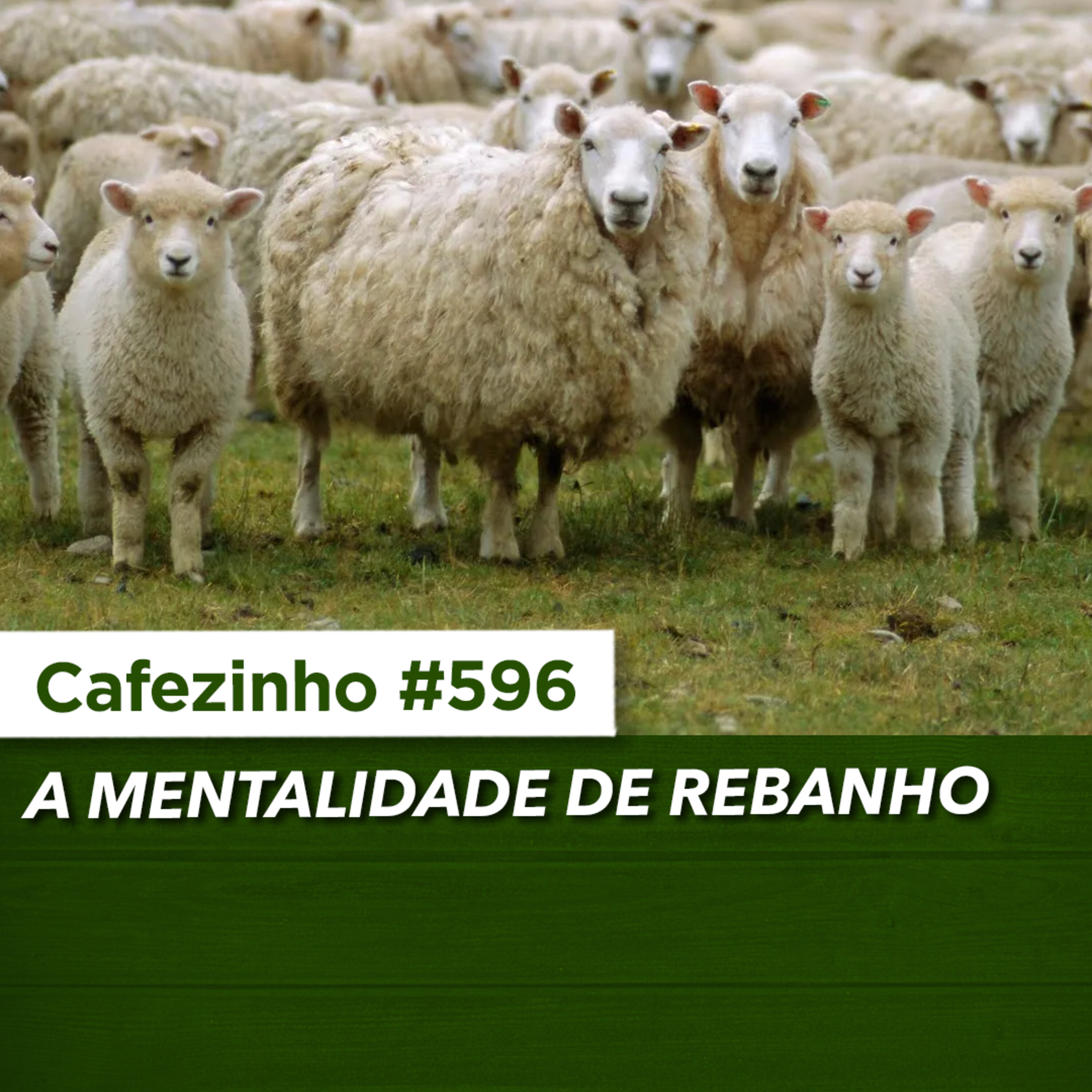 Cafezinho 596 – A mentalidade de rebanho
