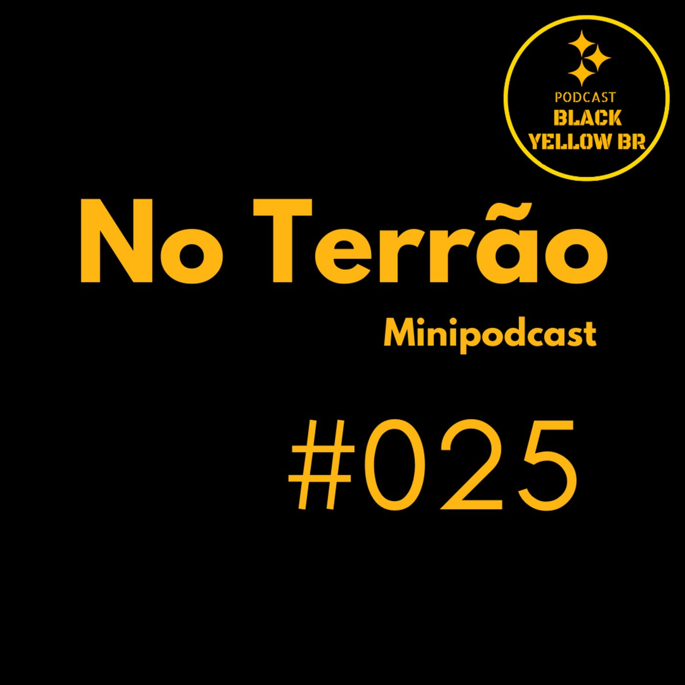 No Terrão 025 - Os novos treinadores do Steelers episode artwork