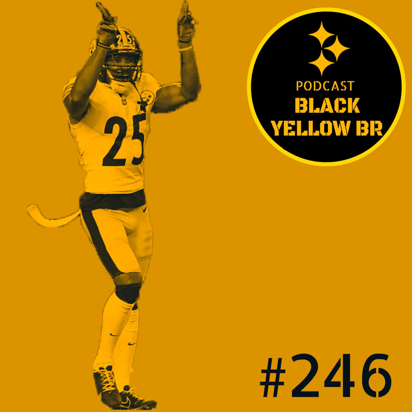 BlackYellowBR 246 - Steelers vs Vikings Semana 14 2021 episode artwork