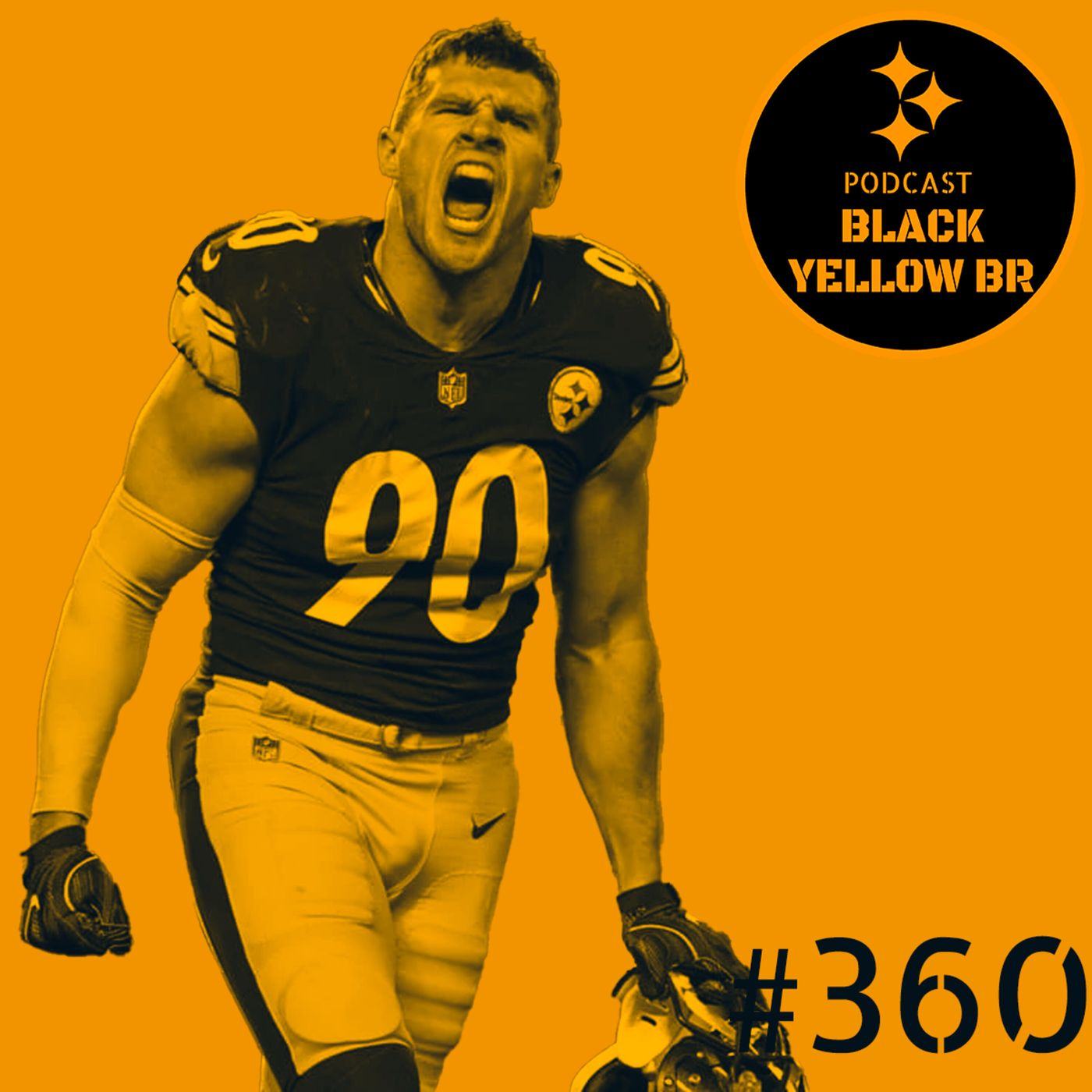 BlackYellowBR 360 - AFC North 2023 episode artwork