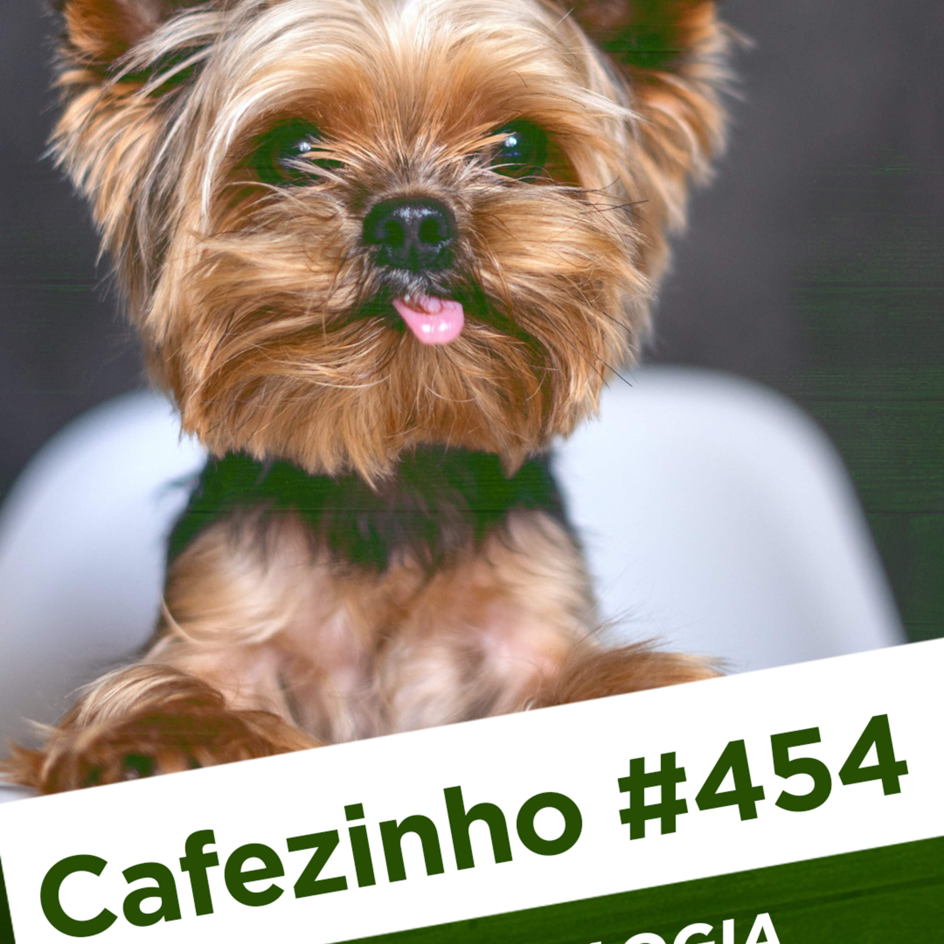 Cafezinho 454 – A tecnologia mata a paciência