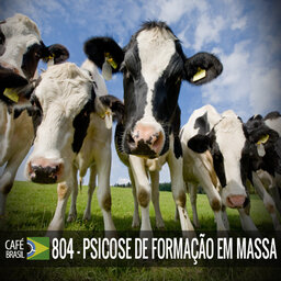 Café Brasil 804 - Psicose de formacao em massa