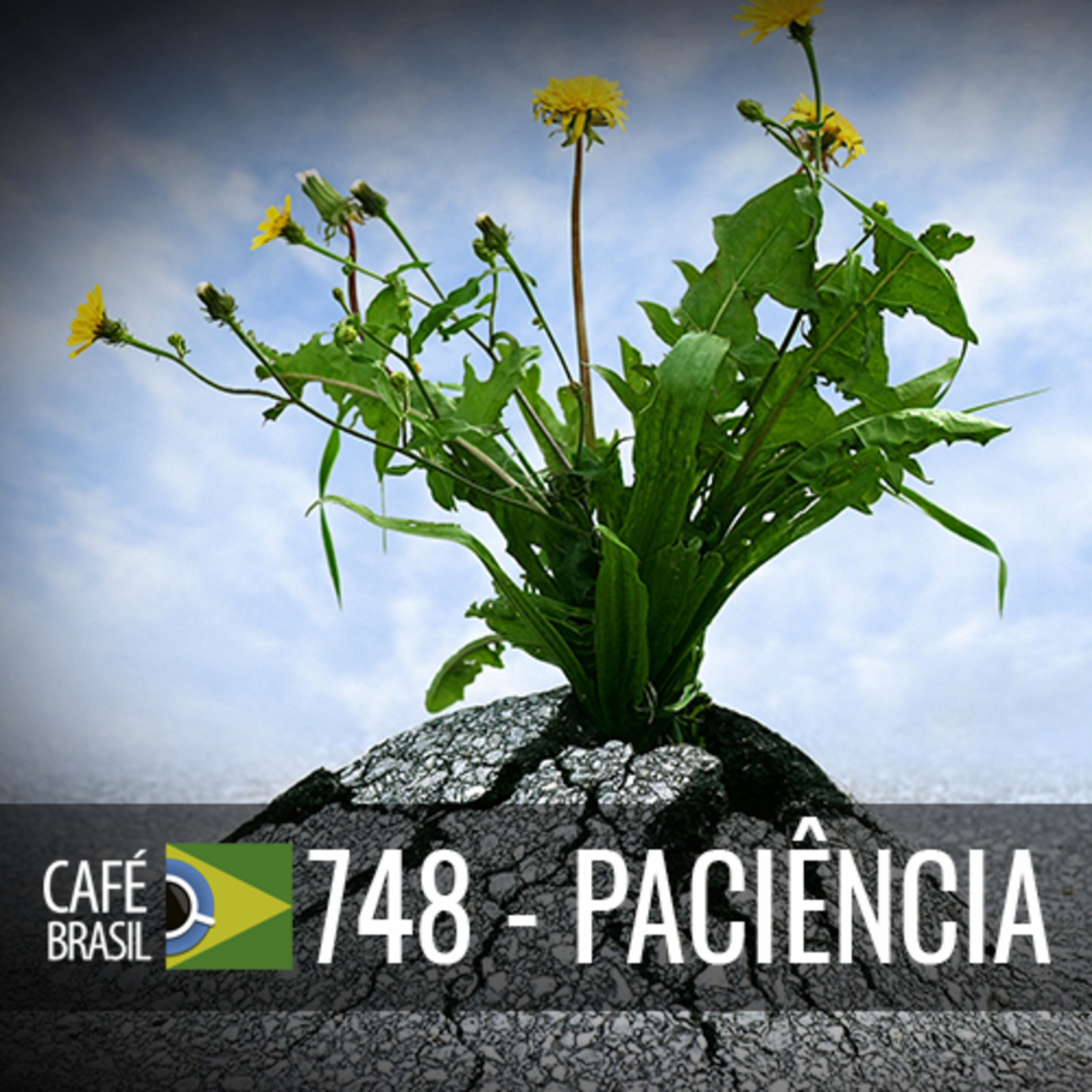 Cafe Brasil 748 - Paciencia