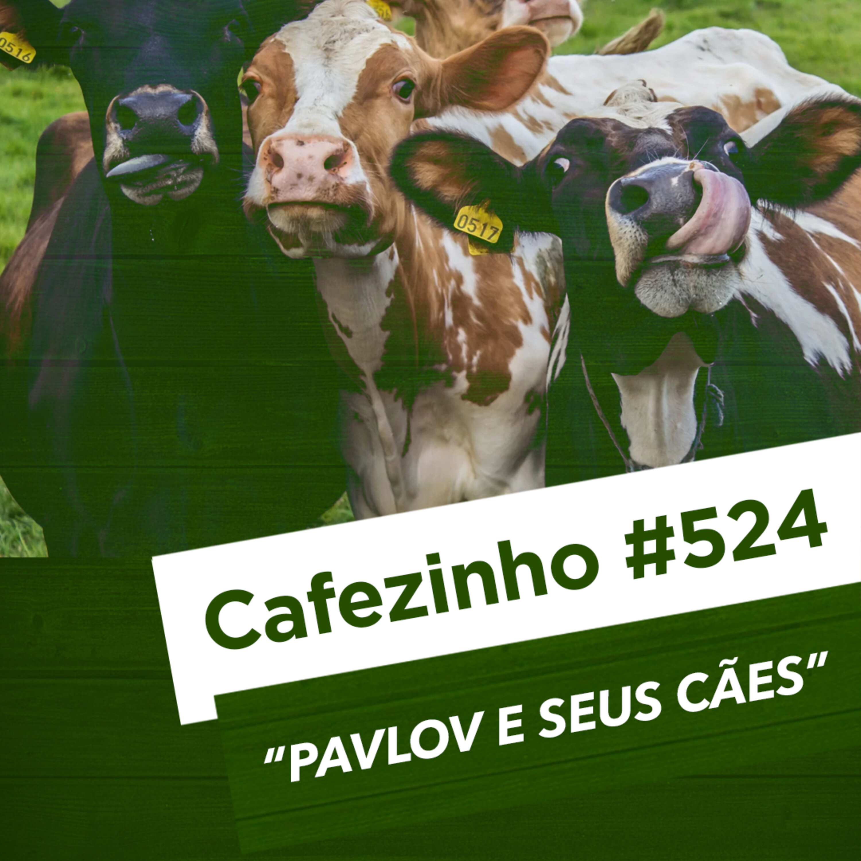 Cafezinho 524 – Pavlov e seus cães