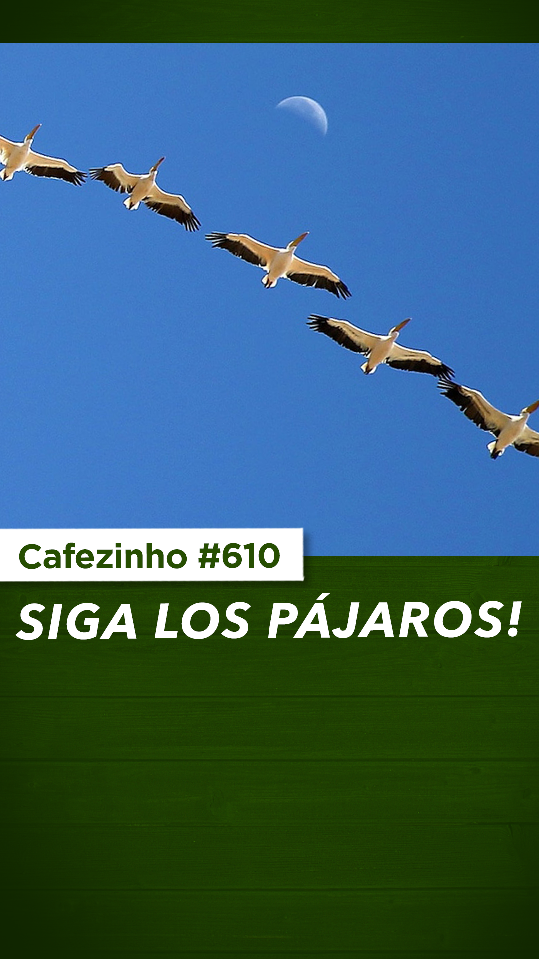 Cafezinho 610 - Siga los pájaros!