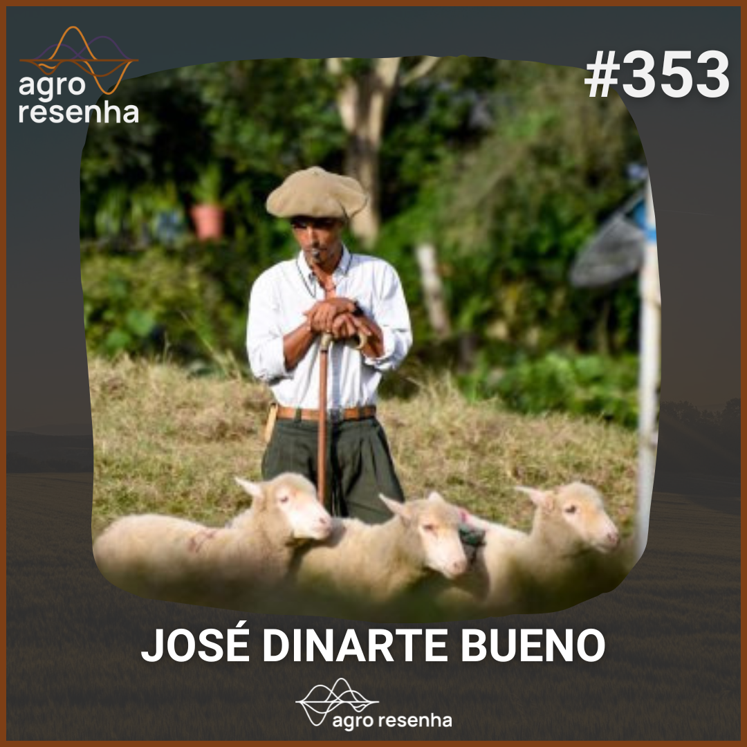 ARP#353 - Border Collie: um importante aliado na lida do campo