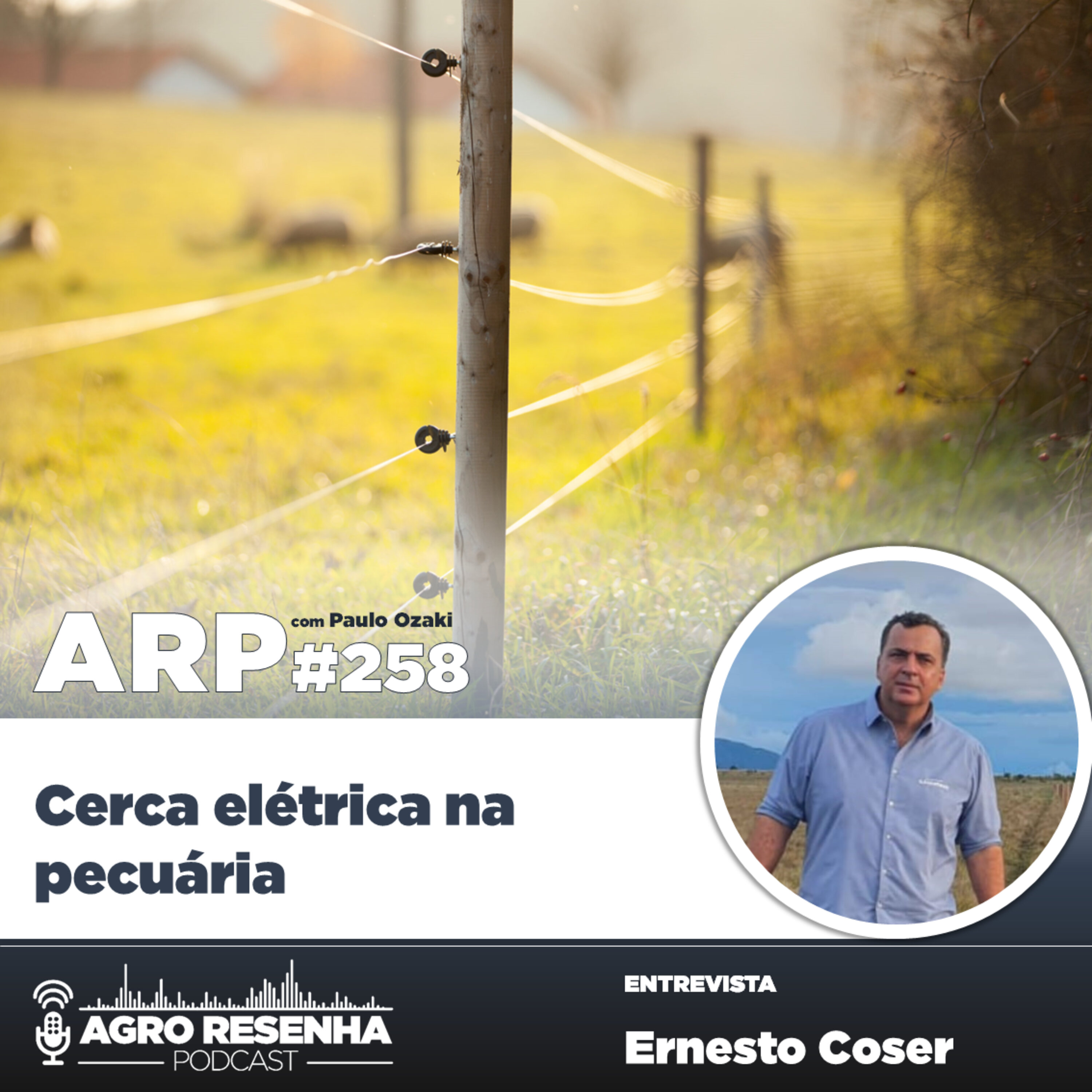 ARP#258 - Cerca elétrica na pecuária