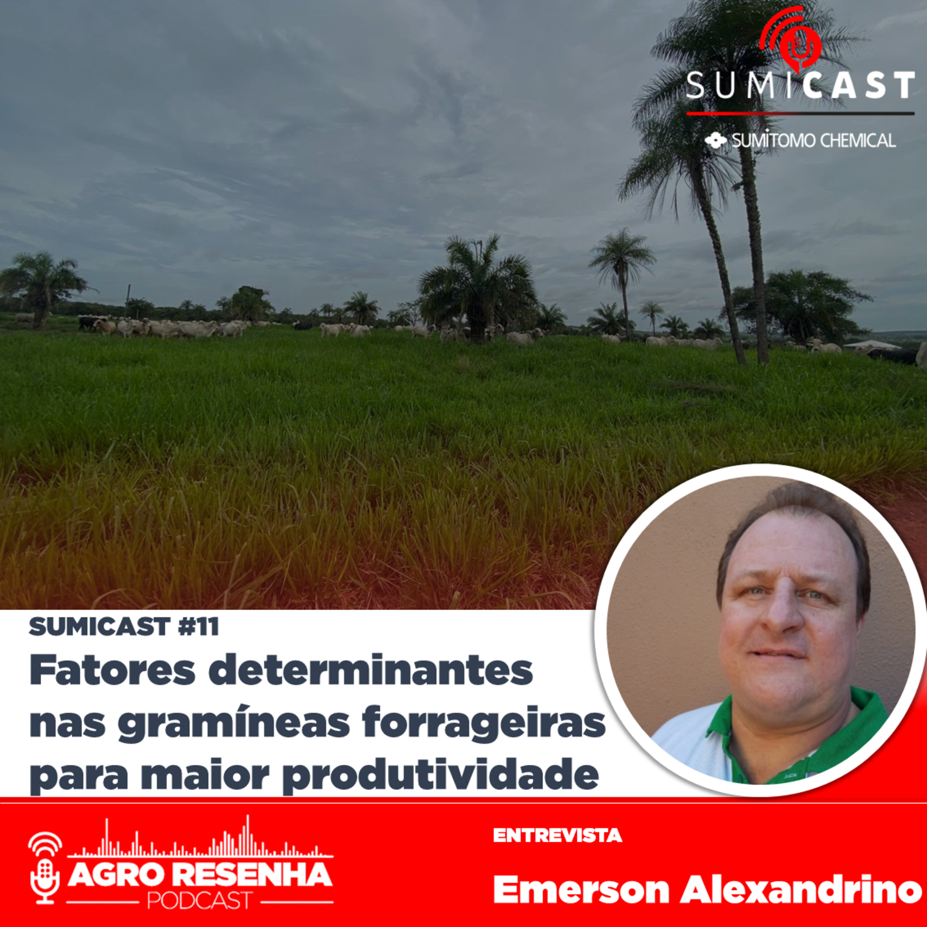 Agrocast