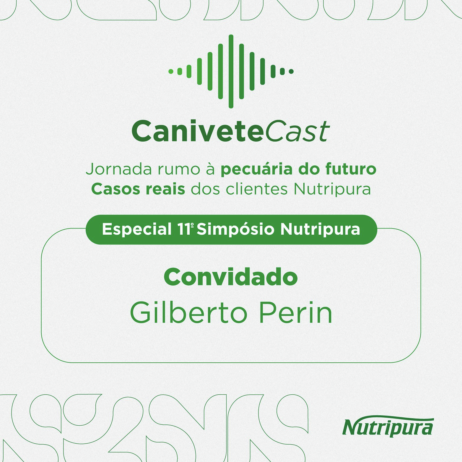 GILBERTO PERIN: EXPERIÊNCIA EM MÃO DUPLA NA PECUÁRIA