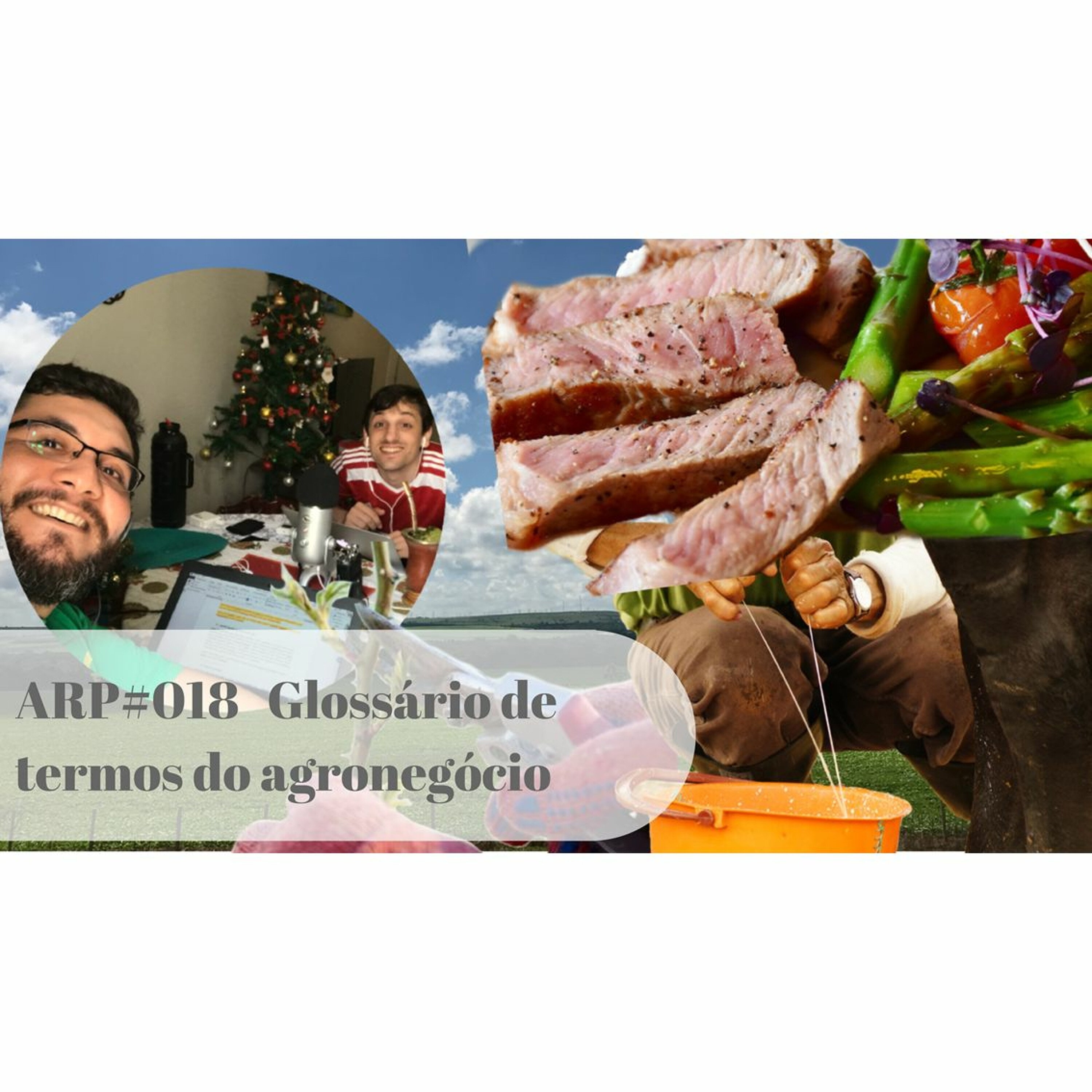 ARP#018 - Glossário de termos do agronegócio