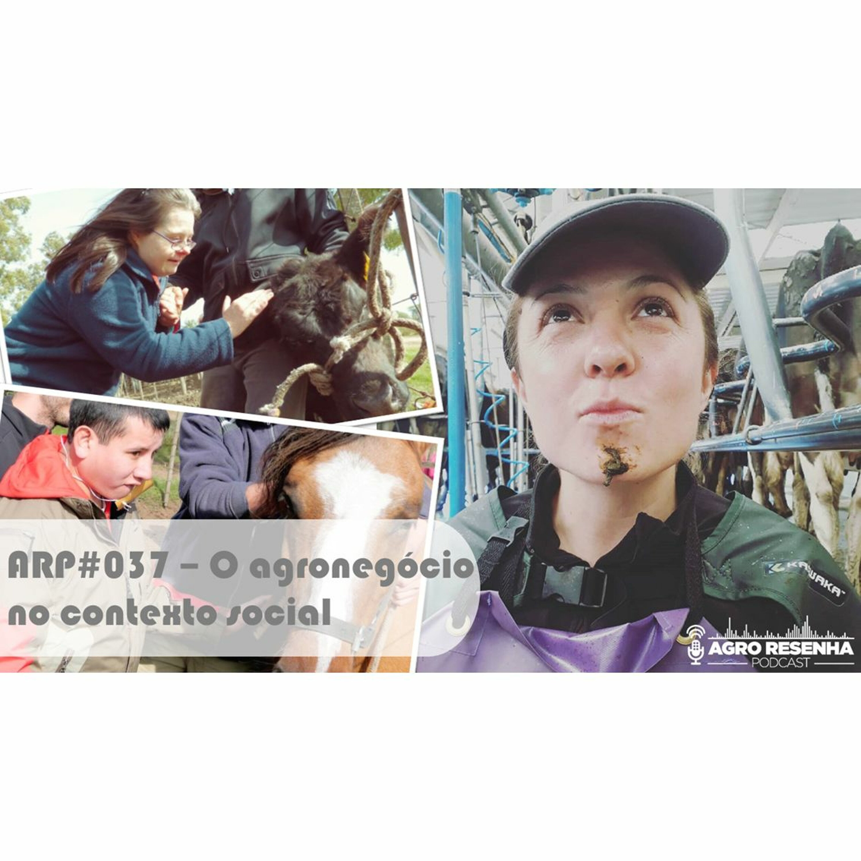 ARP#037 - O agronegócio no contexto social