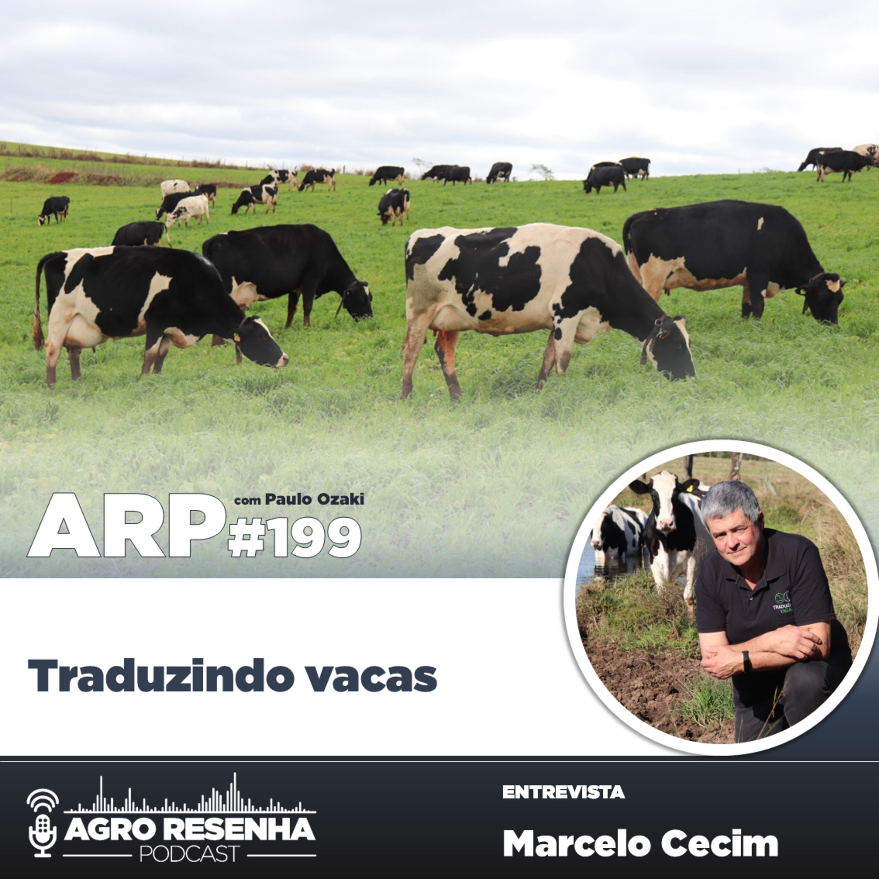 ARP#199 - Traduzindo vacas