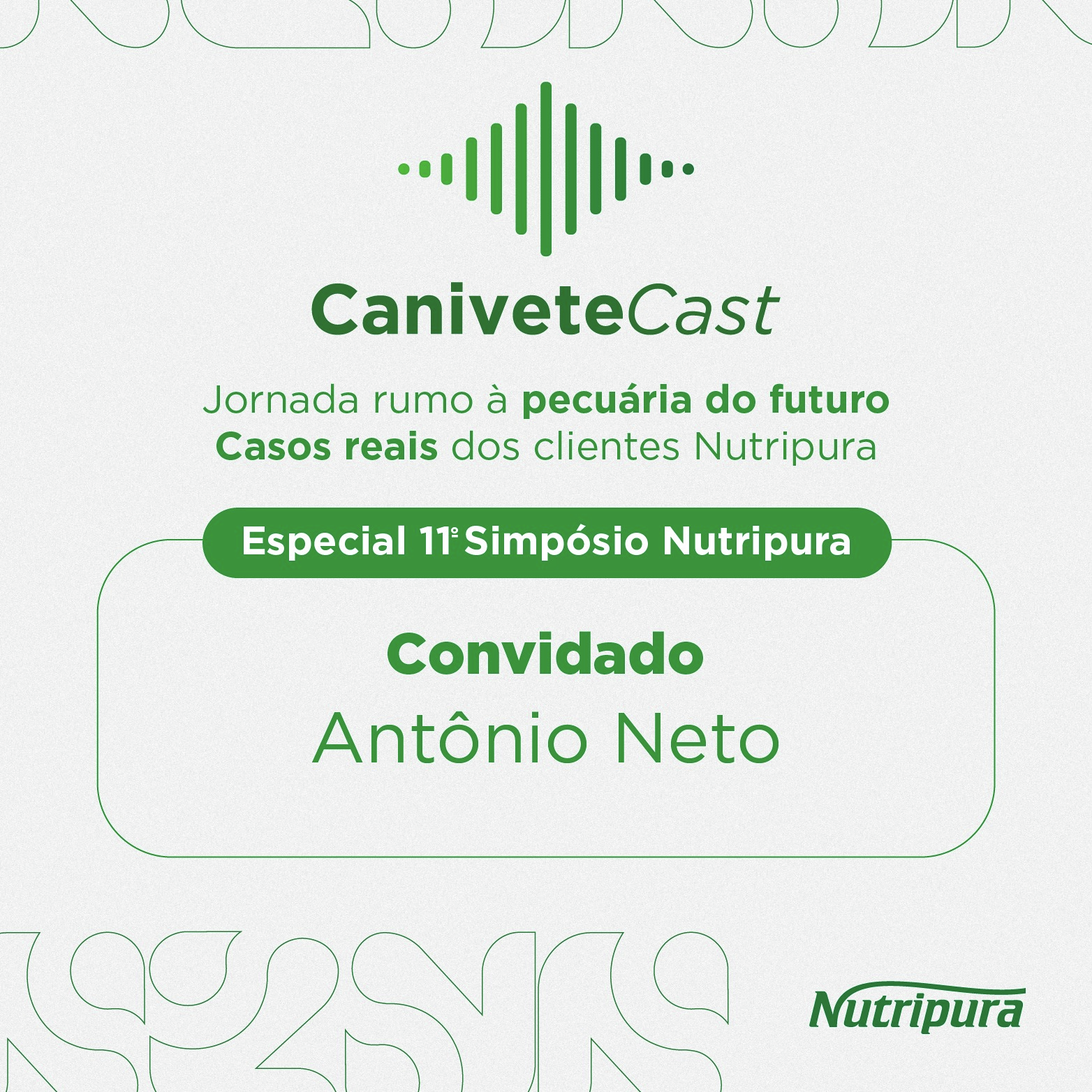 ANTÔNIO NETO: SEM TEMPO PARA LAMENTAÇÃO
