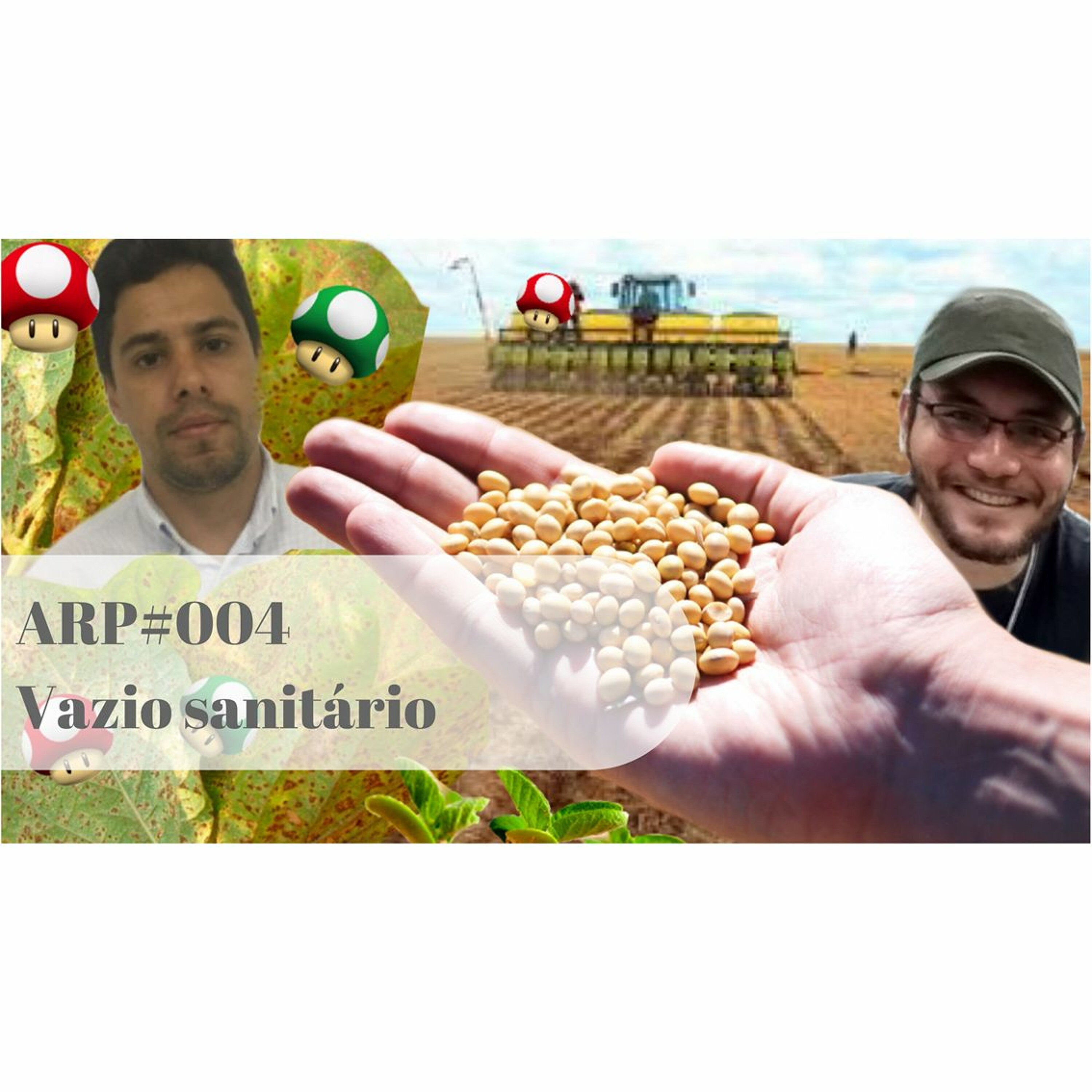 ARP#004 - Vazio Sanitário