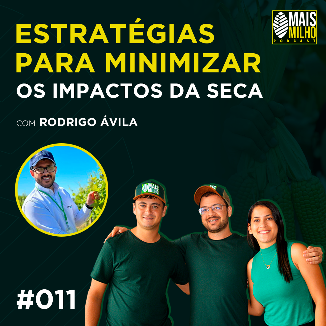 #011 - RODRIGO ÁVILA: ESTRATÉGIAS PARA MINIMIZAR OS IMPACTOS DA SECA