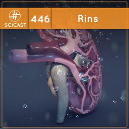 Rins (SciCast #446)