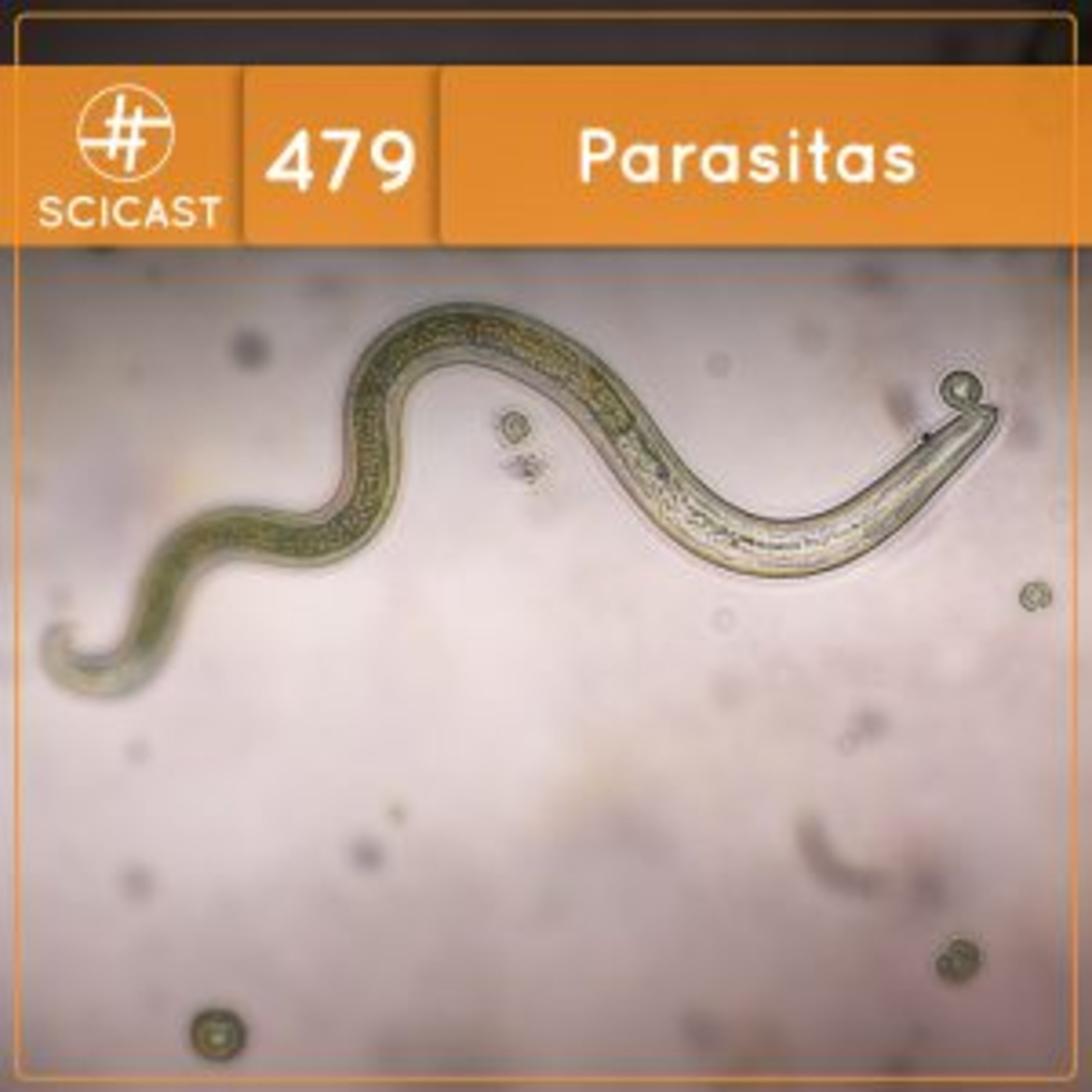Parasitas (SciCast #479)