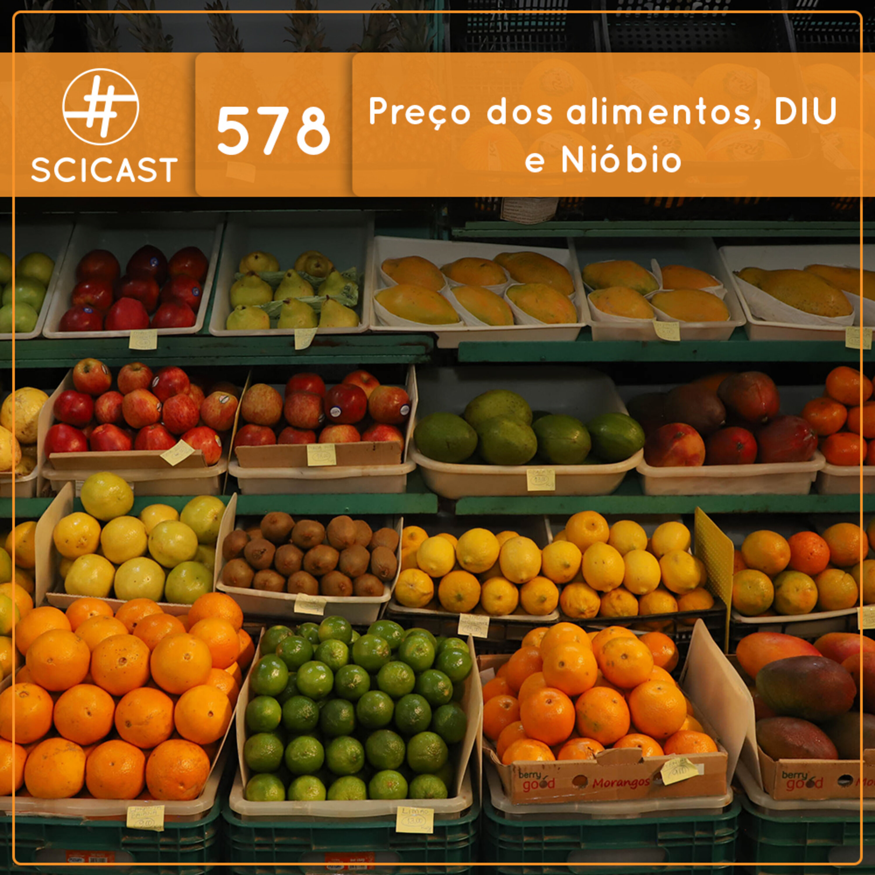 Preço dos alimentos, DIU e Nióbio (SciCast #578)