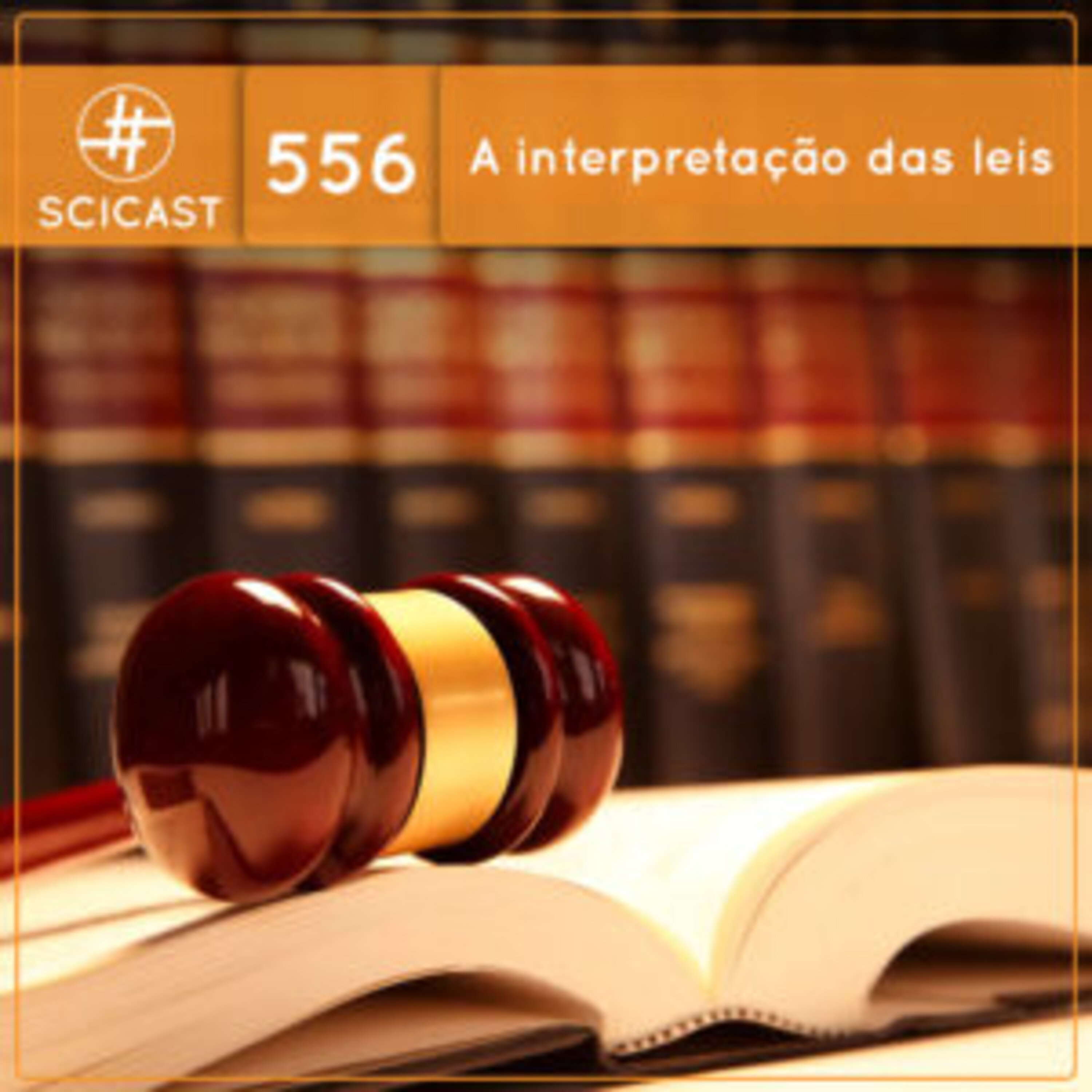 A interpretação das leis (SciCast #556)