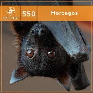 Morcegos (SciCast #550)