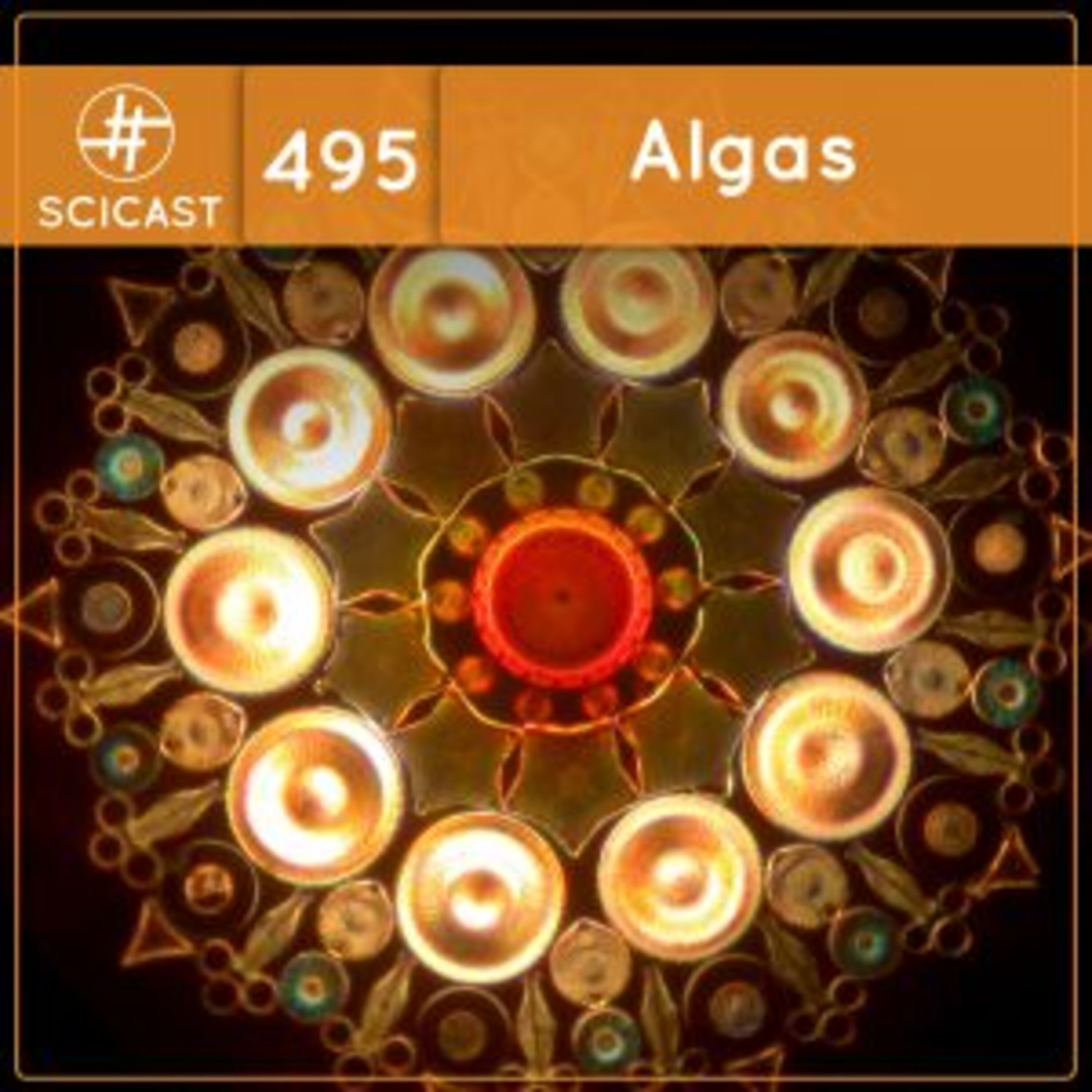 Algas (SciCast #495)