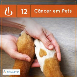 Câncer em Pets (Reimagine o Câncer #12)