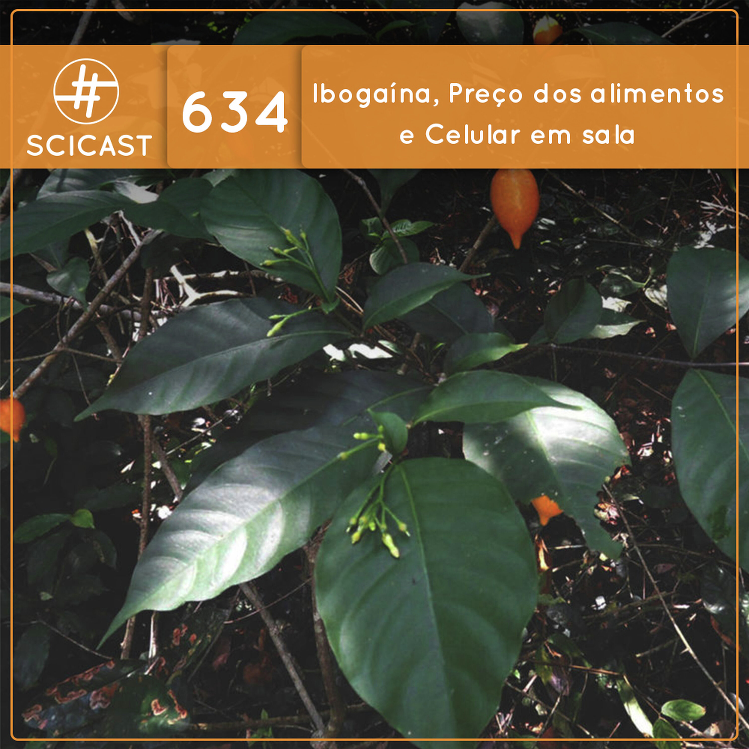 Ibogaína, preço dos alimentos e posso levar meu celular na sala de aula? (SciCast #634)