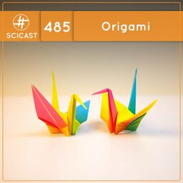 Origami (SciCast #485)