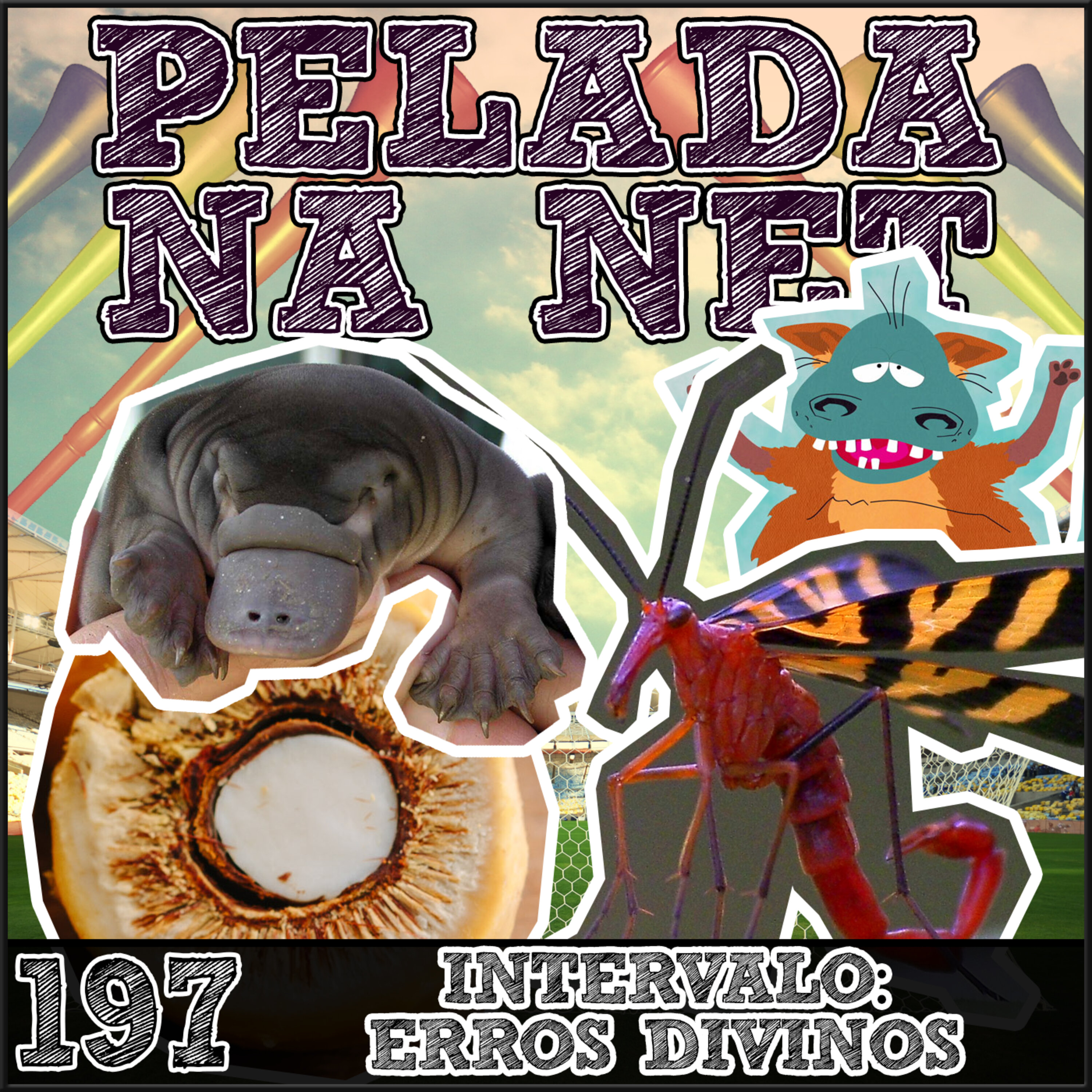 Pelada na Net