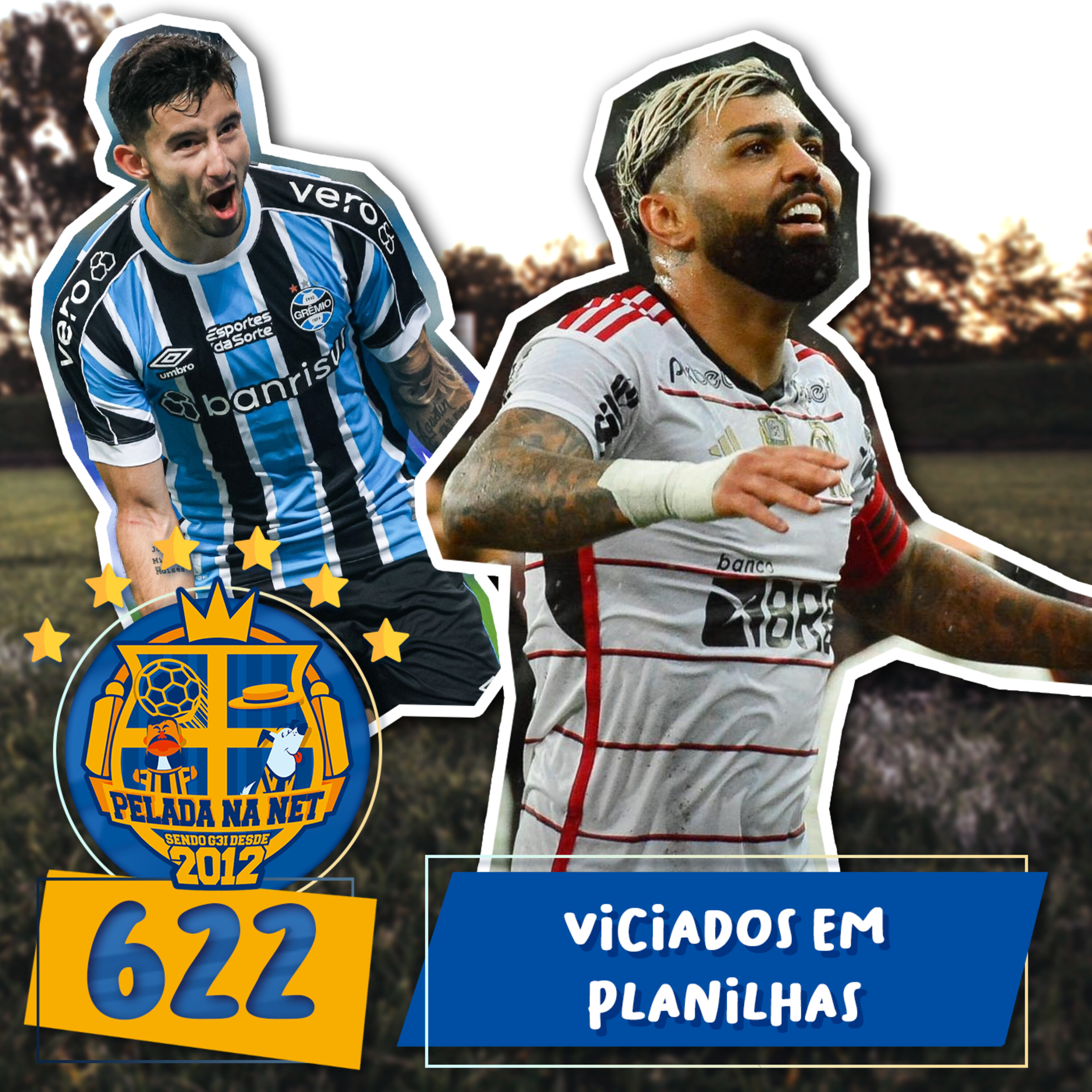 Pelada na Net