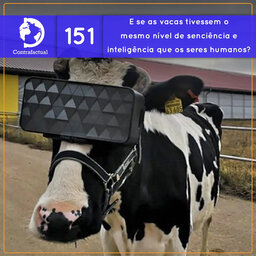 E se as vacas tivessem o mesmo nível de senciência e inteligência que os seres humanos? (Contrafactual #151)