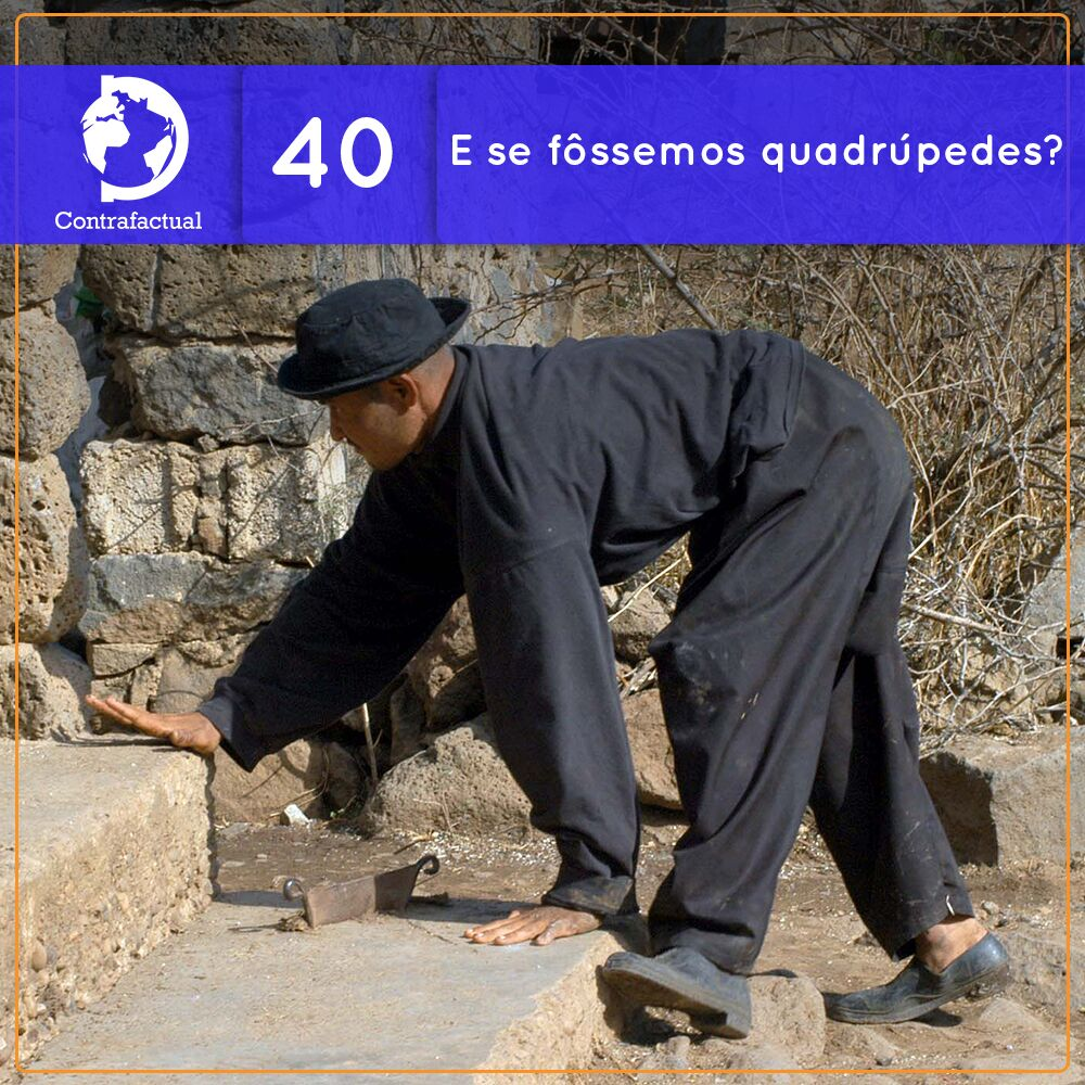 Contrafactual #40: E se fôssemos quadrúpedes?
