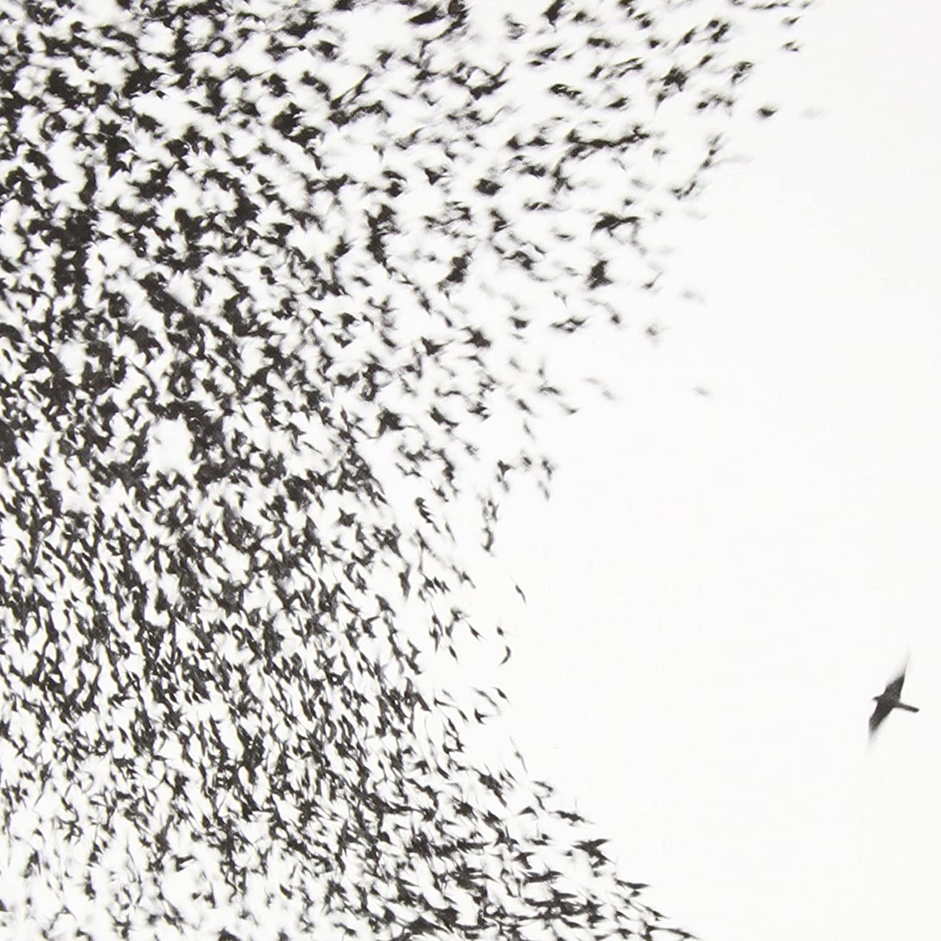 Episódio 107 - Amigo Oculto: "Sky Blue Sky", Wilco