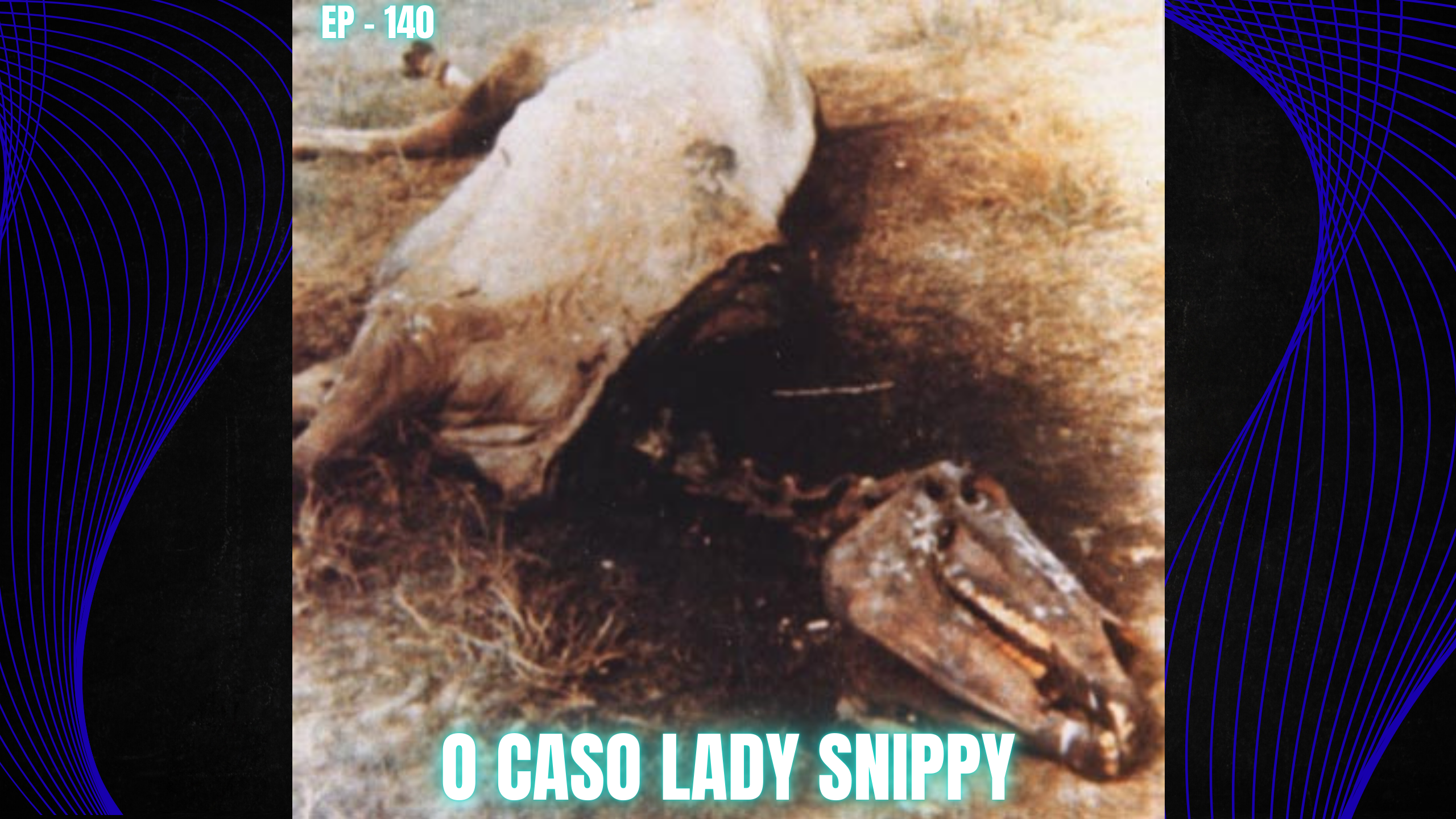 O CASO LADY SNIPPY