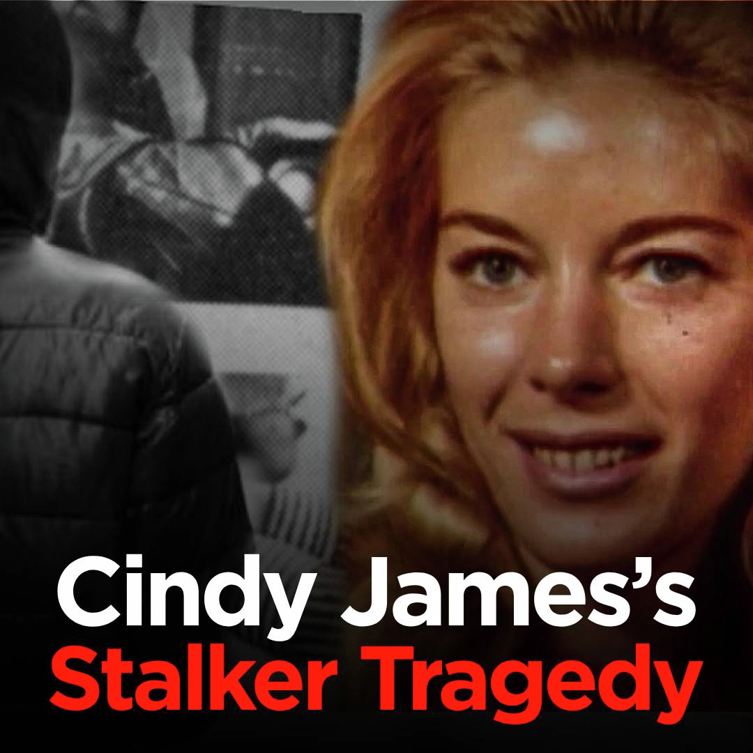 A Life Destroyed by Persecution | Cindy James