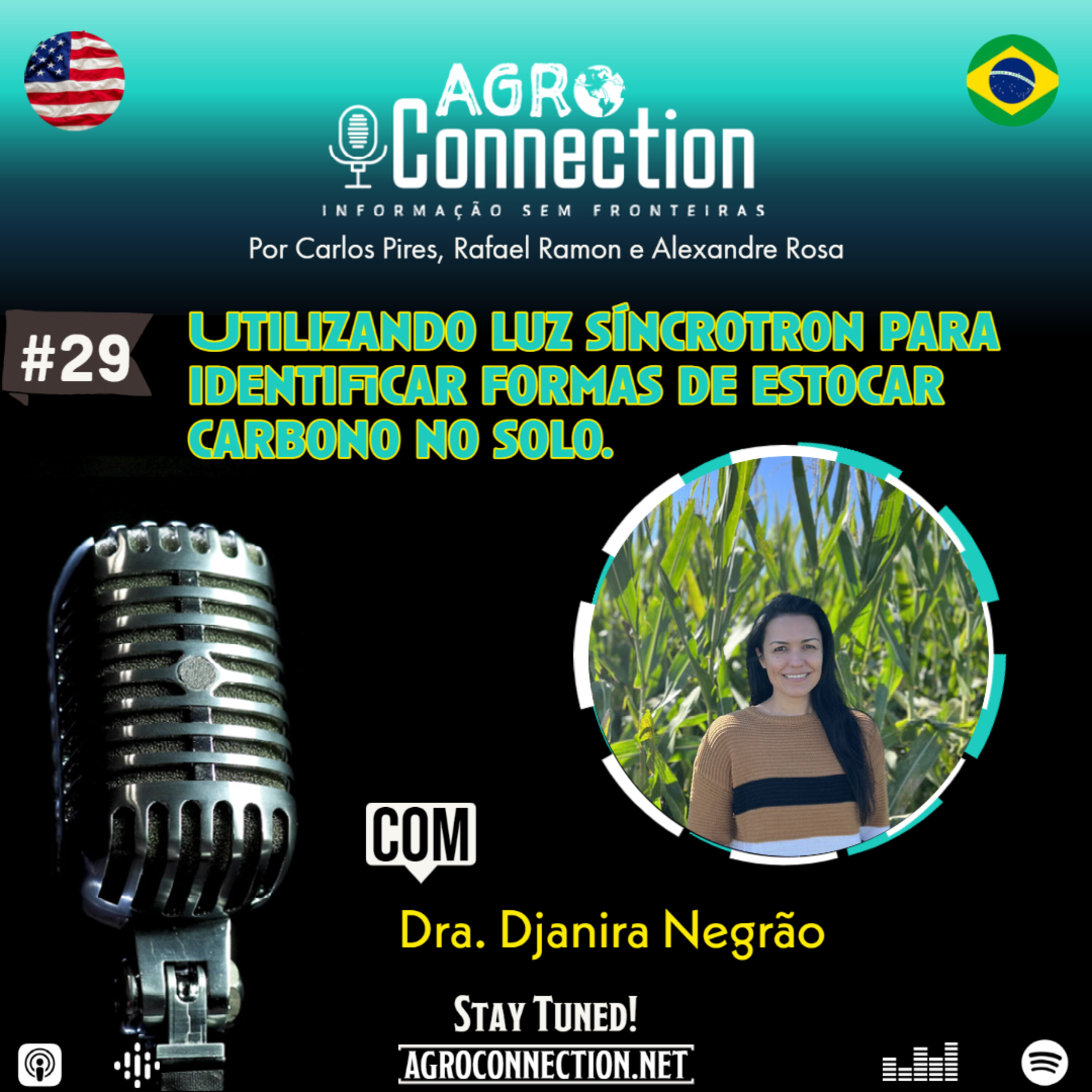 EP #29 - Utilizando luz síncrotron para identificar formas de estocar carbono no solo. Com Djanira Negrão.