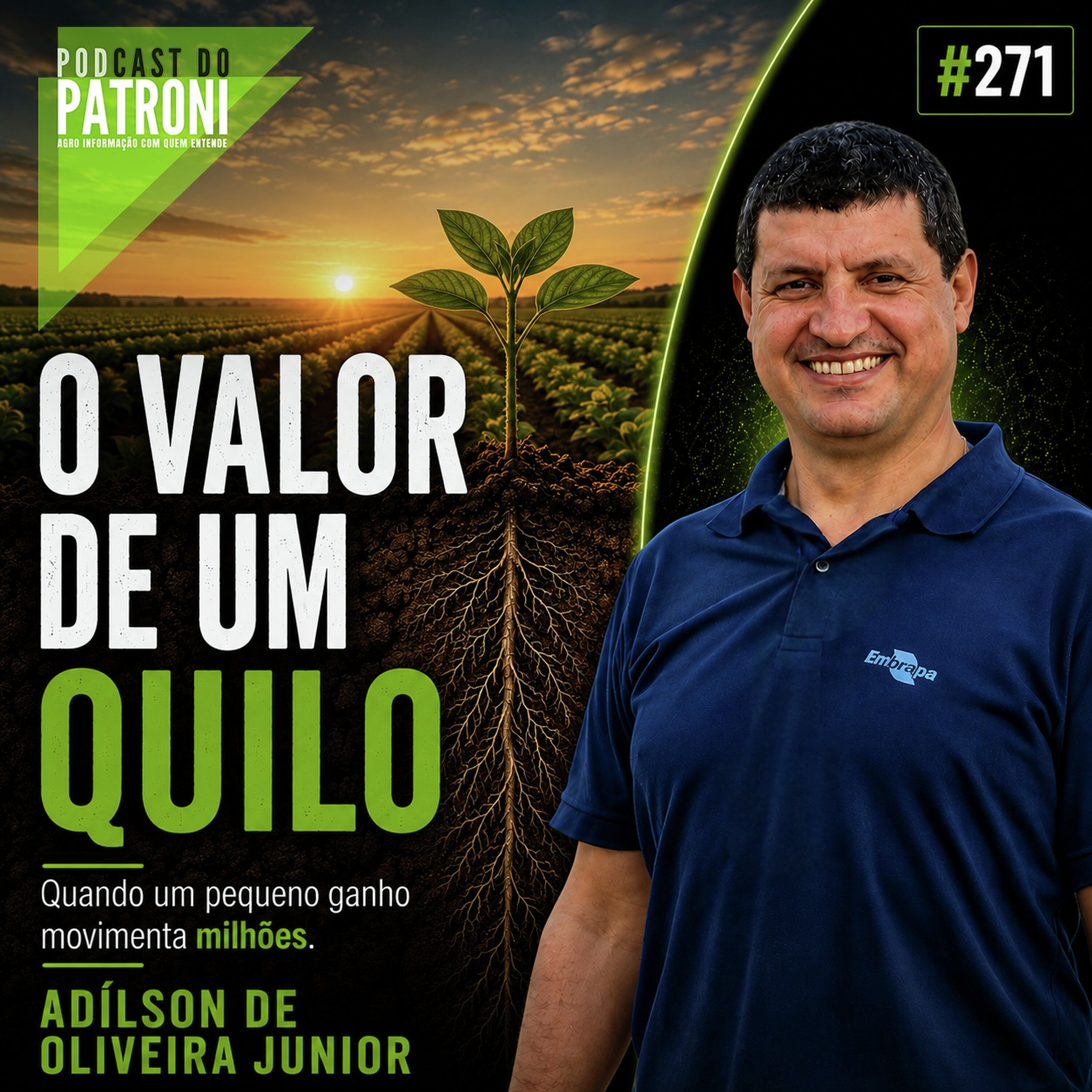 #271 - O valor de um quilo episode artwork