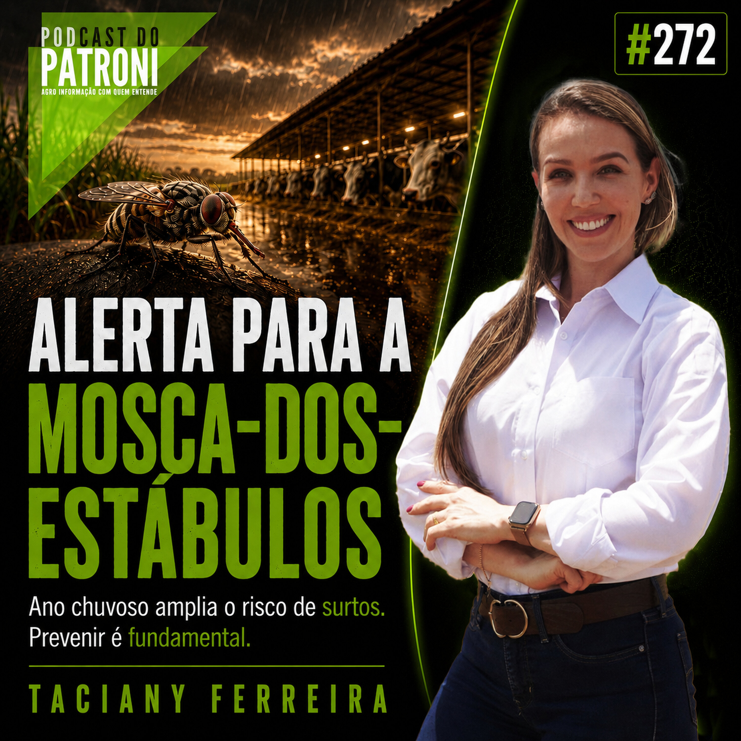 #272 - Alerta para a mosca-dos-estábulos episode artwork