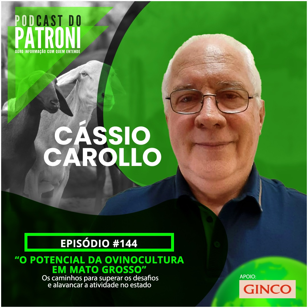 Podcast do Patroni