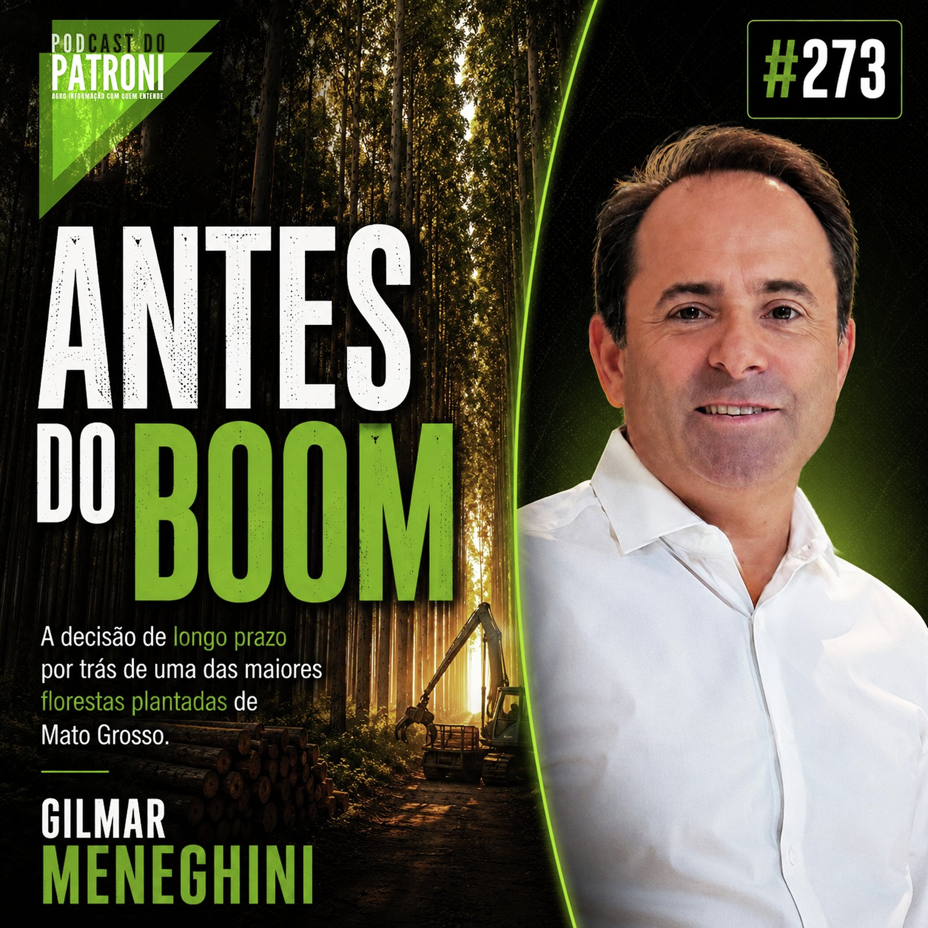 #273 - Antes do boom episode artwork