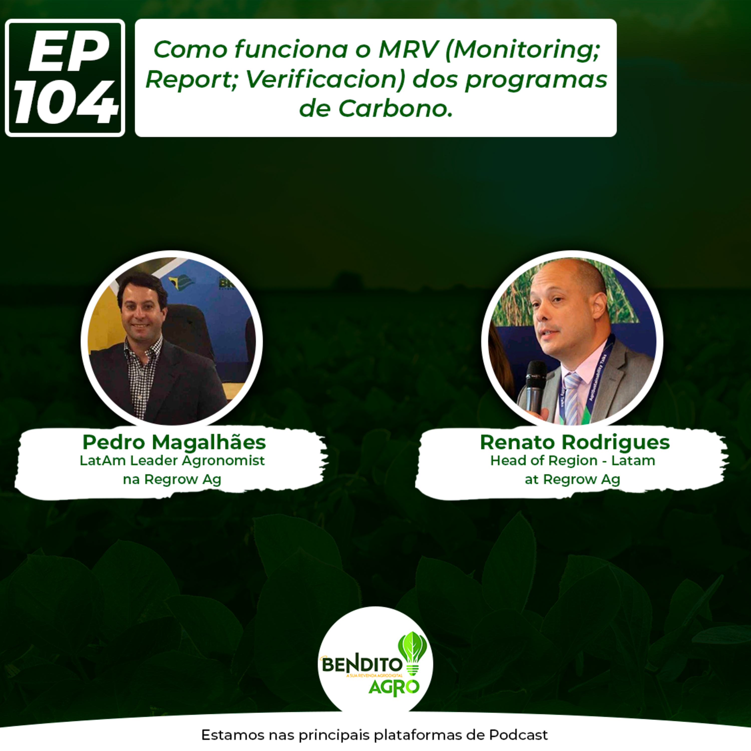 #104 - Como funciona o MRV (Monitoring; Report; Verificacion) dos programas de Carbono