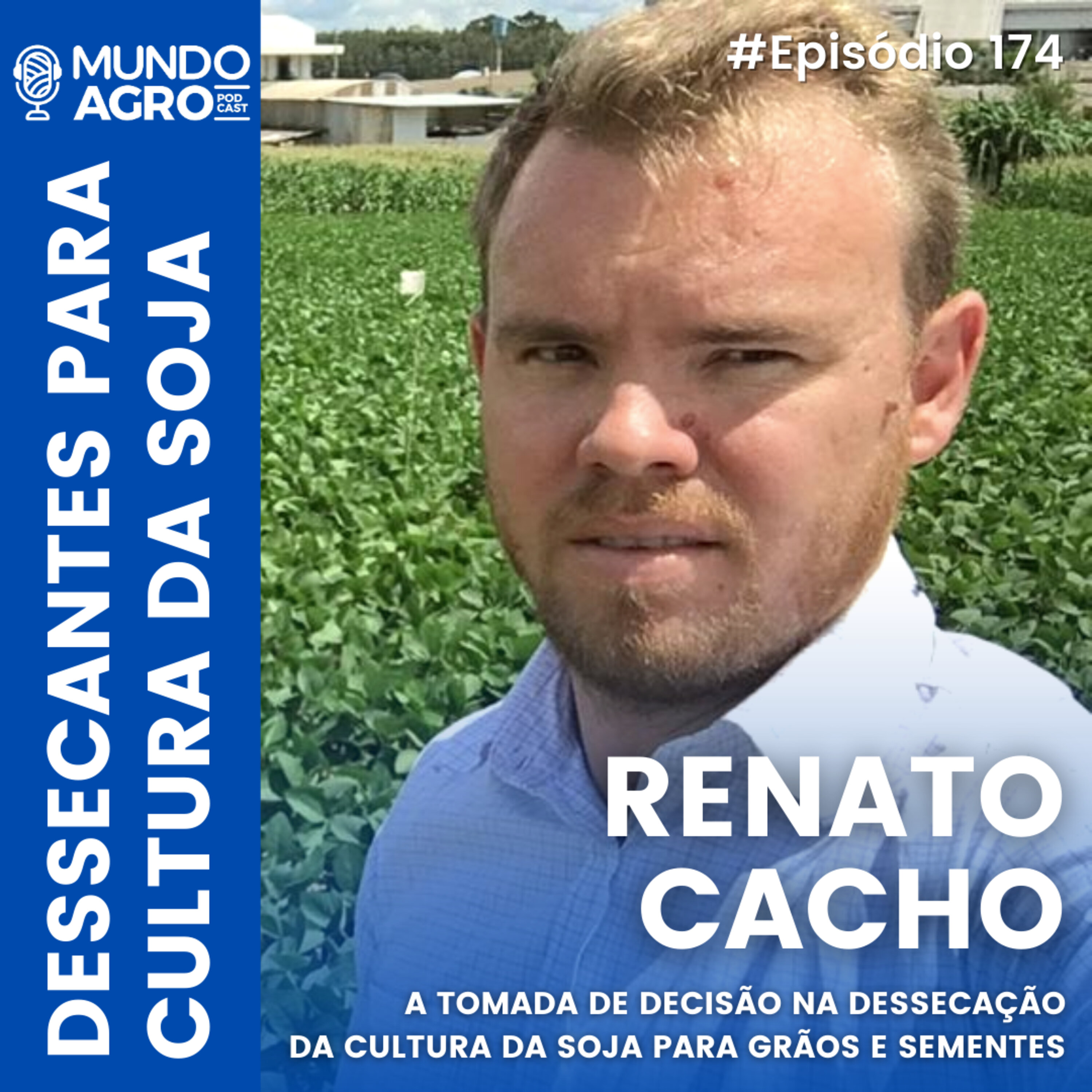 #174 MAP COMO DESSECAR A CULTURA DA SOJA COM RENATO CACHO